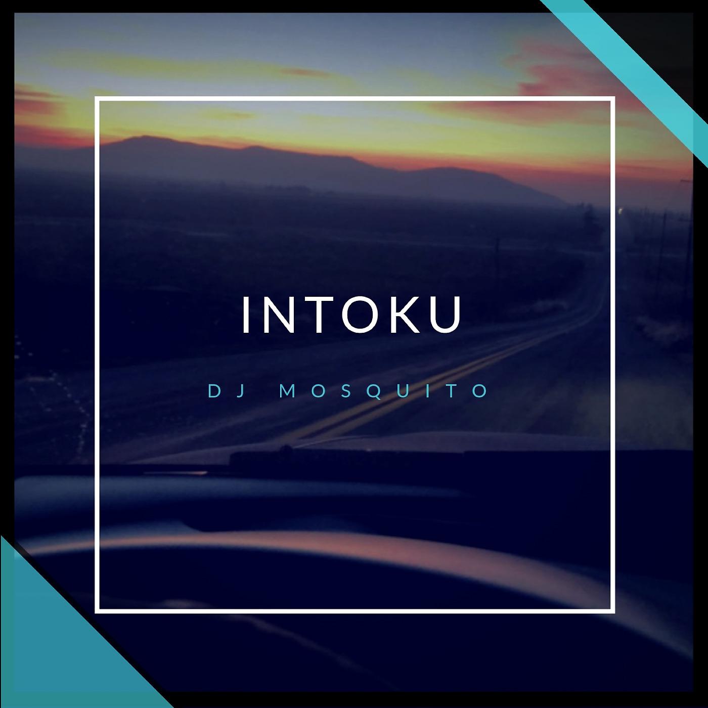 Постер альбома Intoku