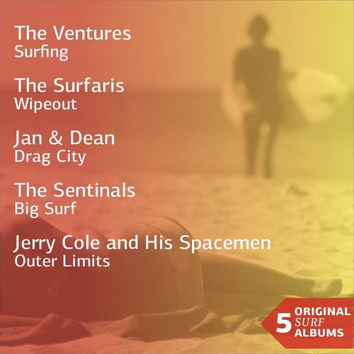 Постер альбома Five Original Surf Albums, Vol. 4