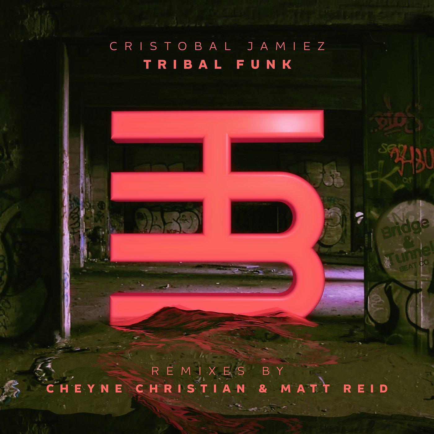 Постер альбома Tribal Funk (Remixes)