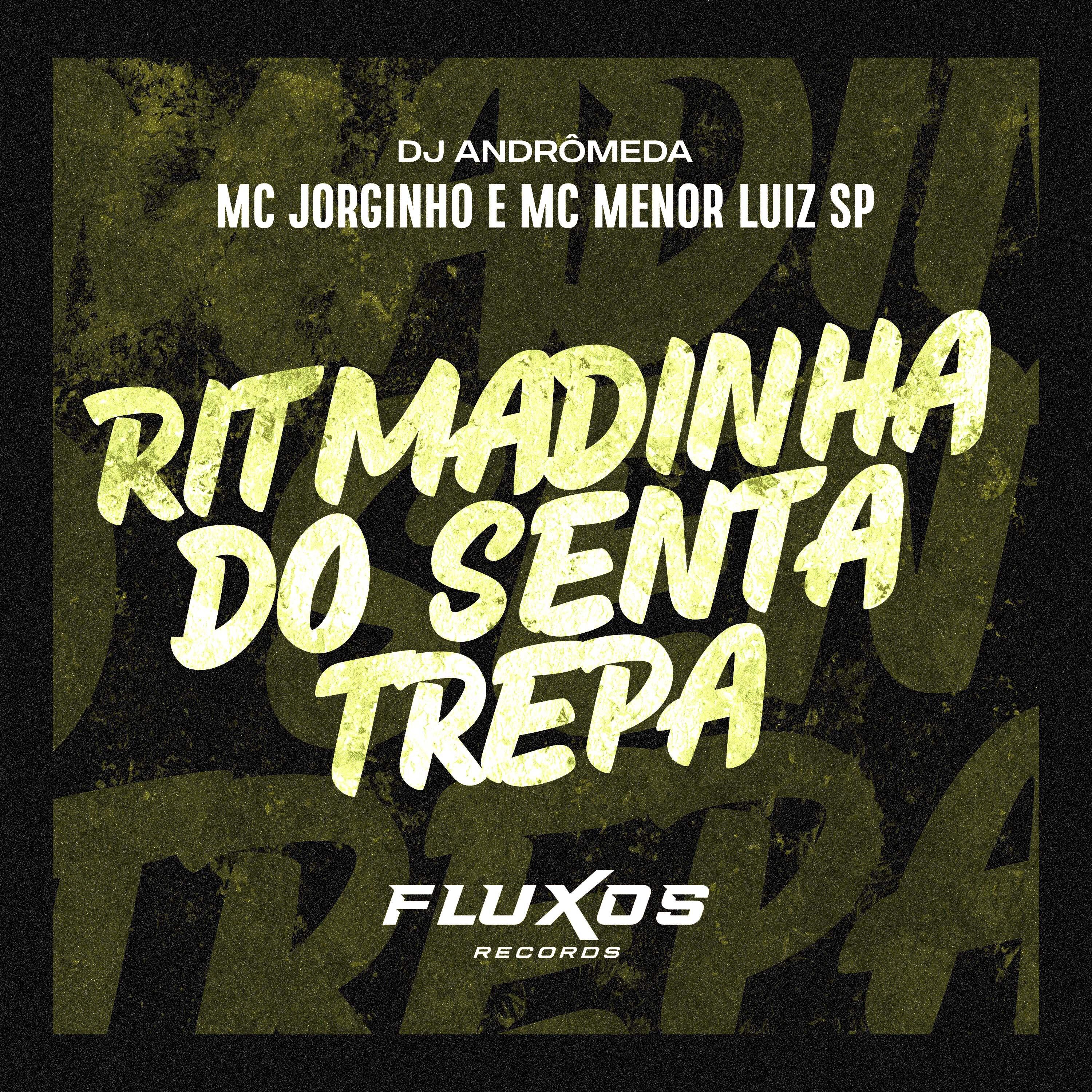 Постер альбома Ritmadinha do Senta Trepa