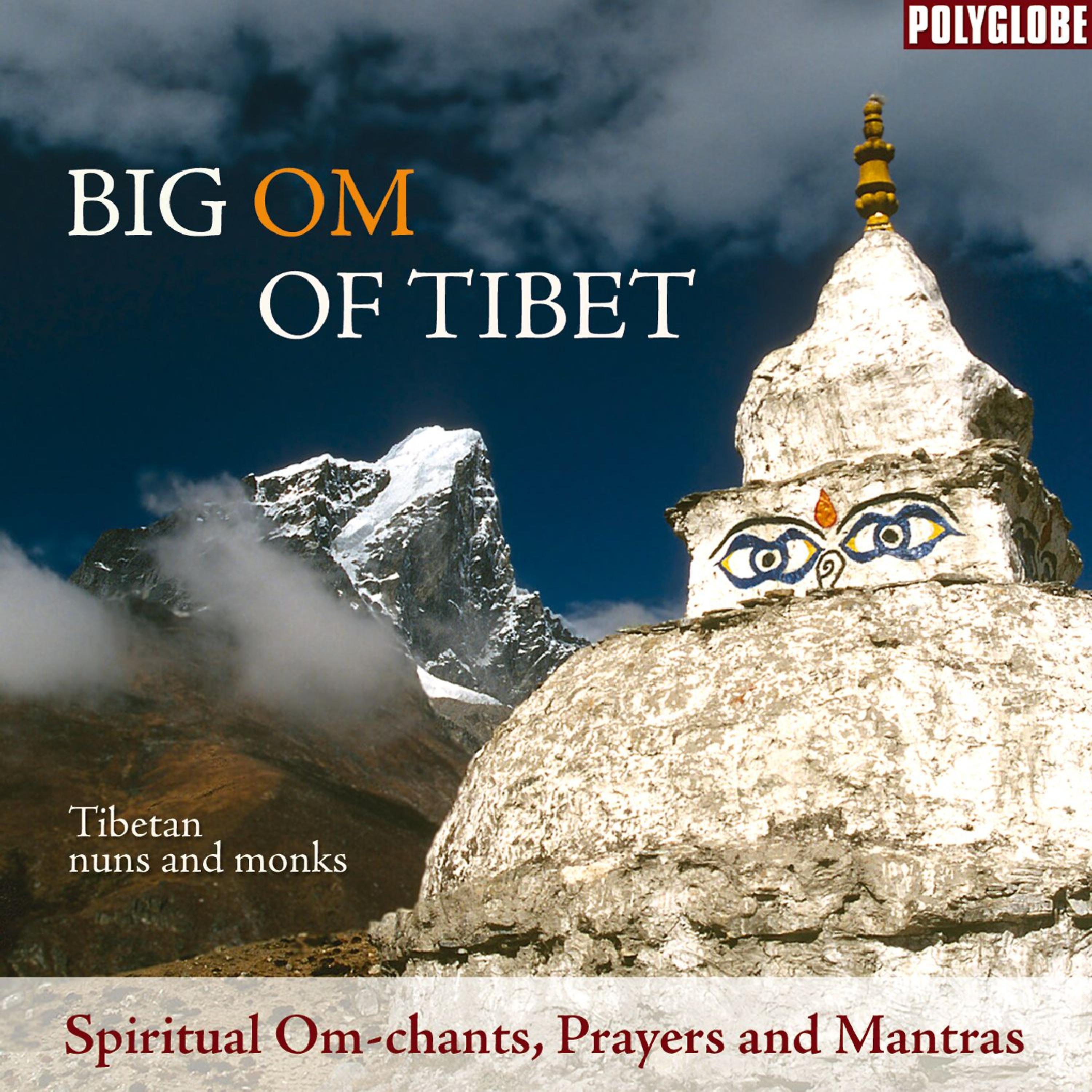 Постер альбома Big Om of Tibet