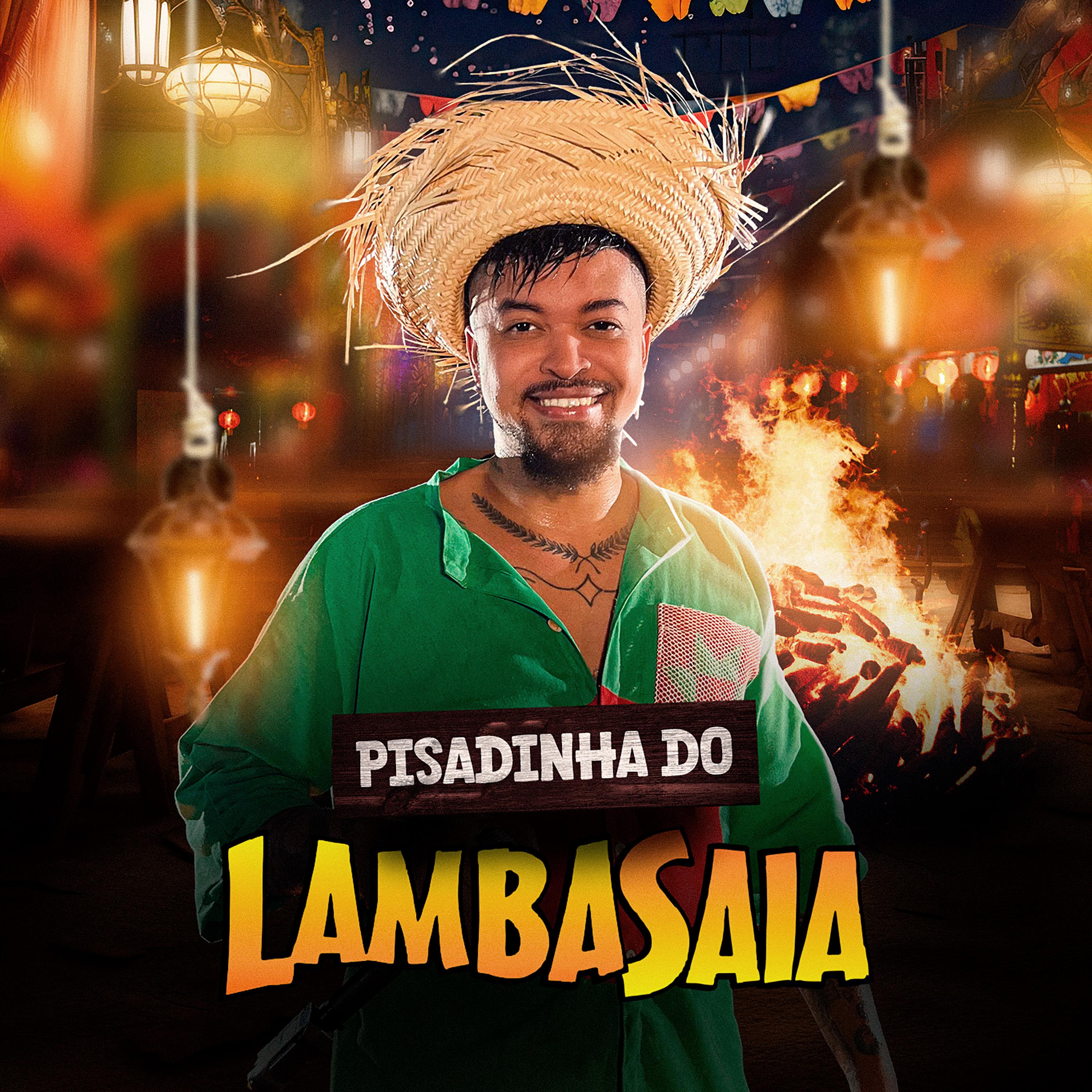 Постер альбома Pisadinha do Lambasaia