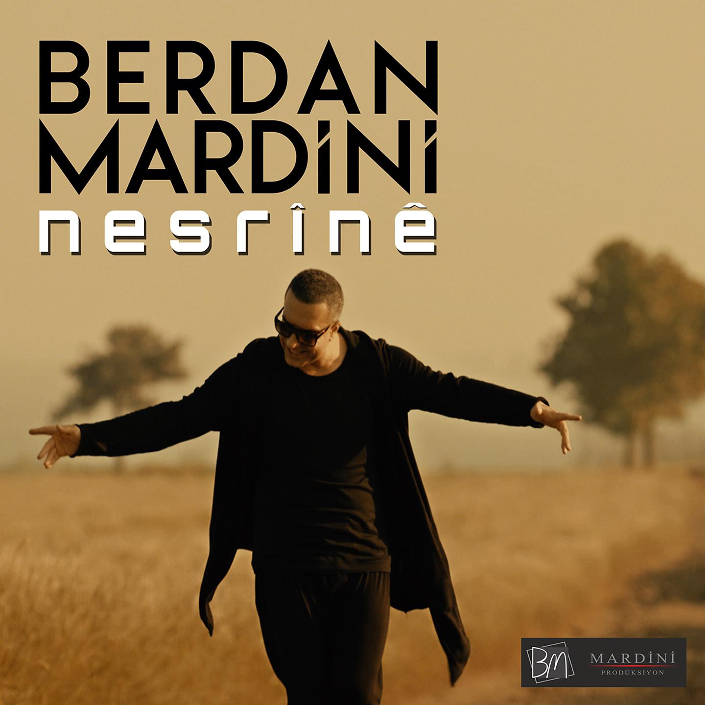 Постер альбома Nesrine
