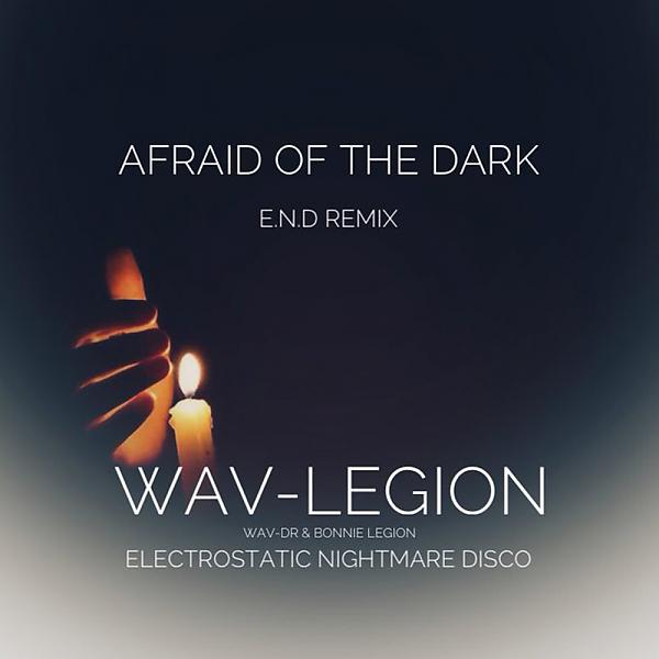 Постер альбома Afraid of the Dark (Electrostatic Nightmare Disco Remix)