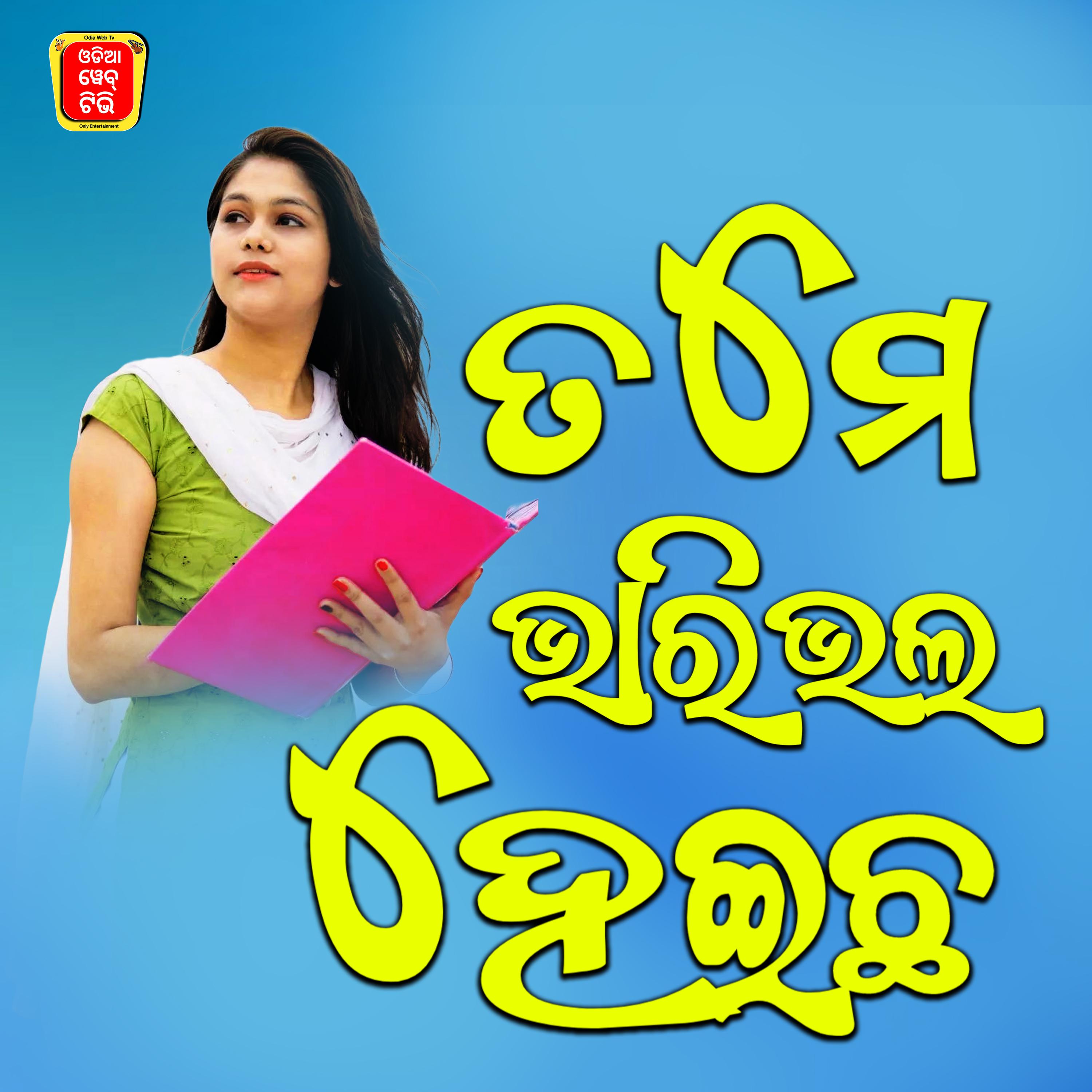 Постер альбома Tame Bharibhala Heicha