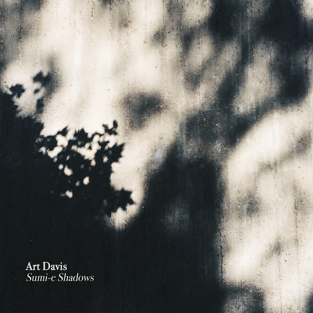 Постер альбома Sumi-E Shadows