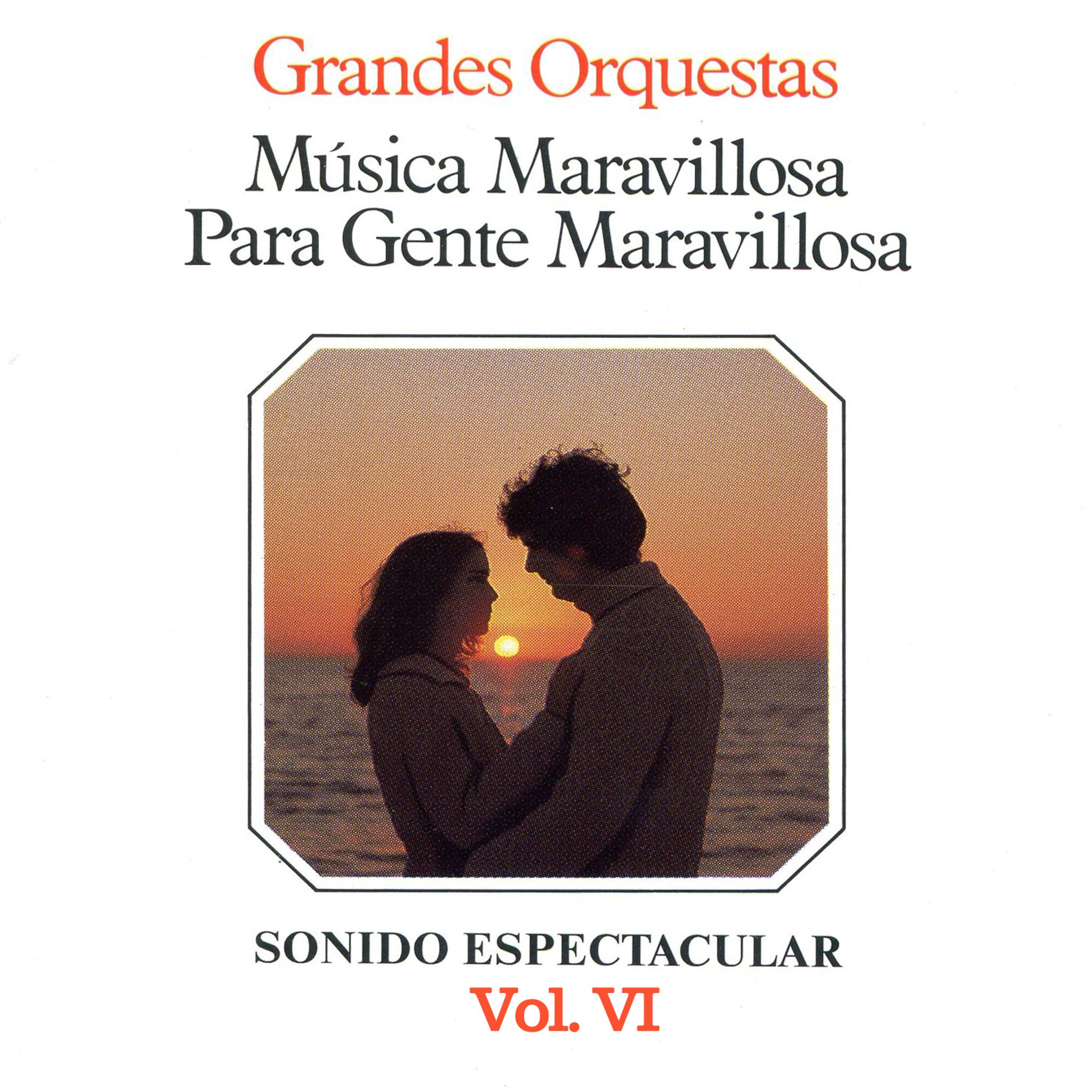 Постер альбома Música Maravillosa para Gente Maravillosa Grandes Orquestas Vol. VI