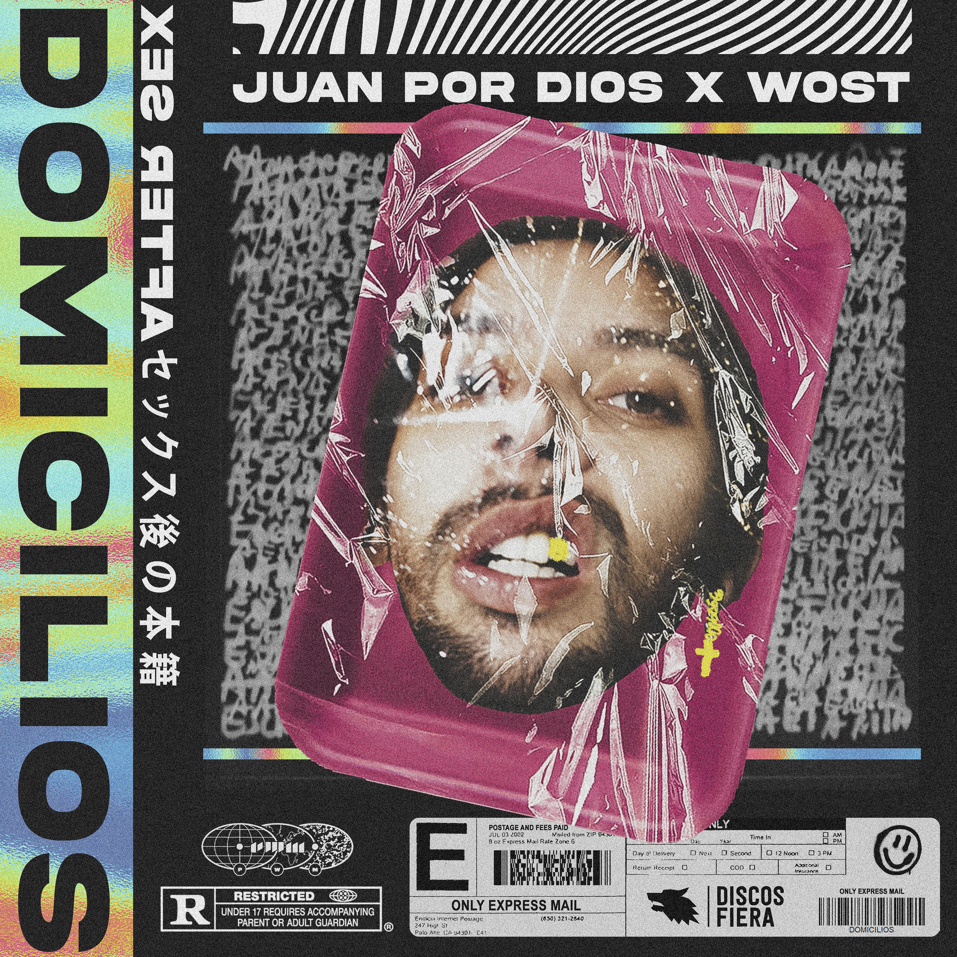 Постер альбома Domicilios (Aftersex)