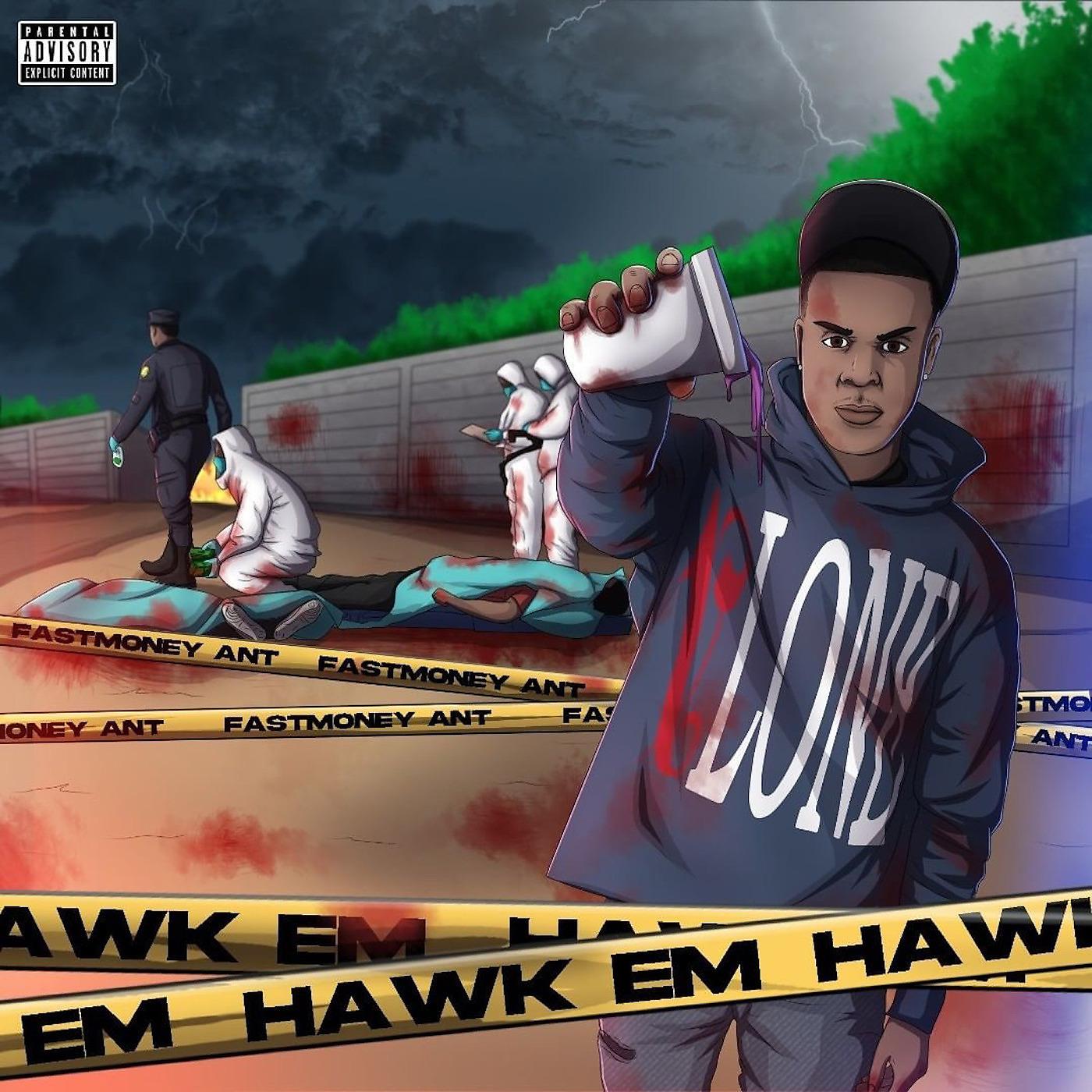 Постер альбома Hawk Em