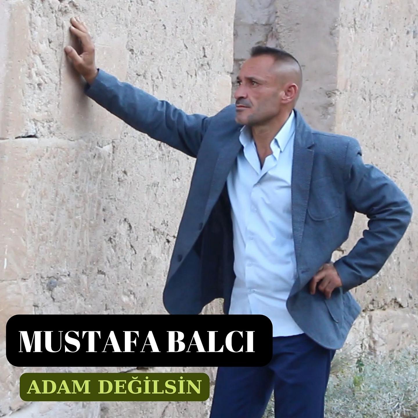 Постер альбома Adam Değilsin