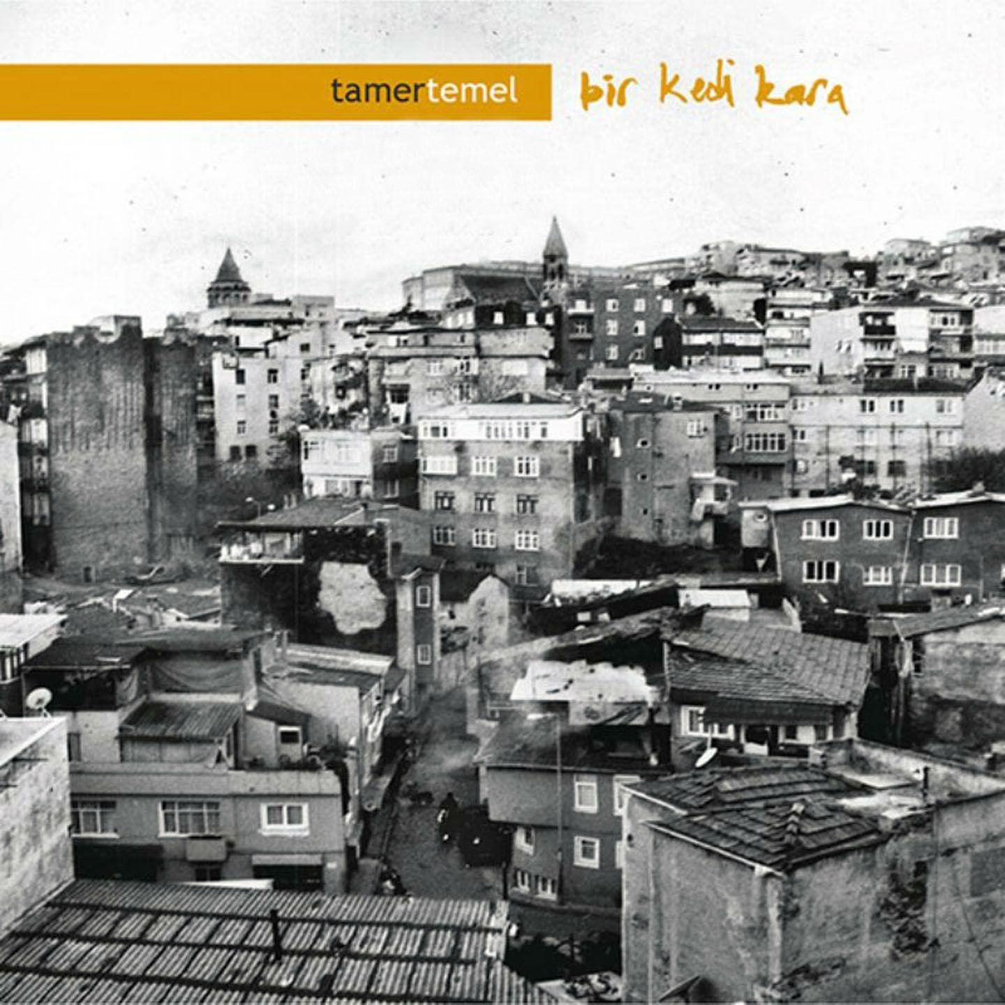 Постер альбома Bir Kedi Kara