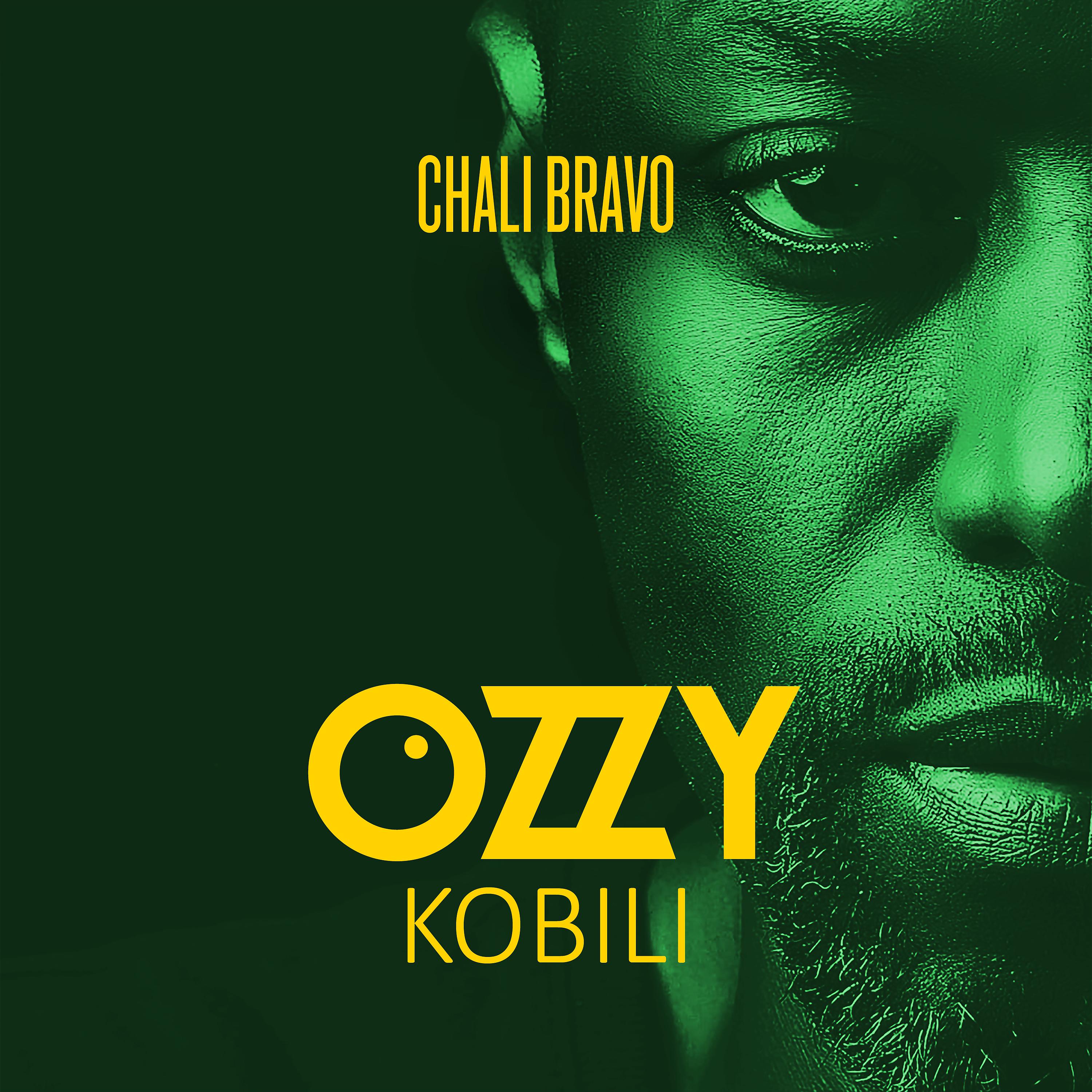 Постер альбома Kobili