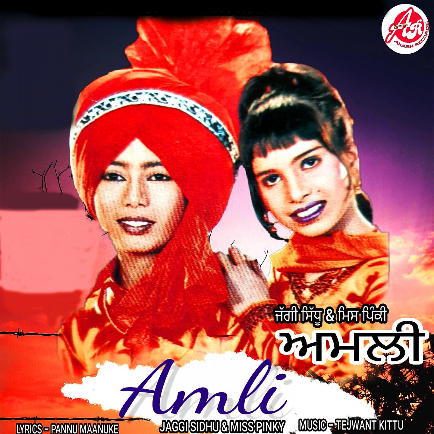 Постер альбома Amli