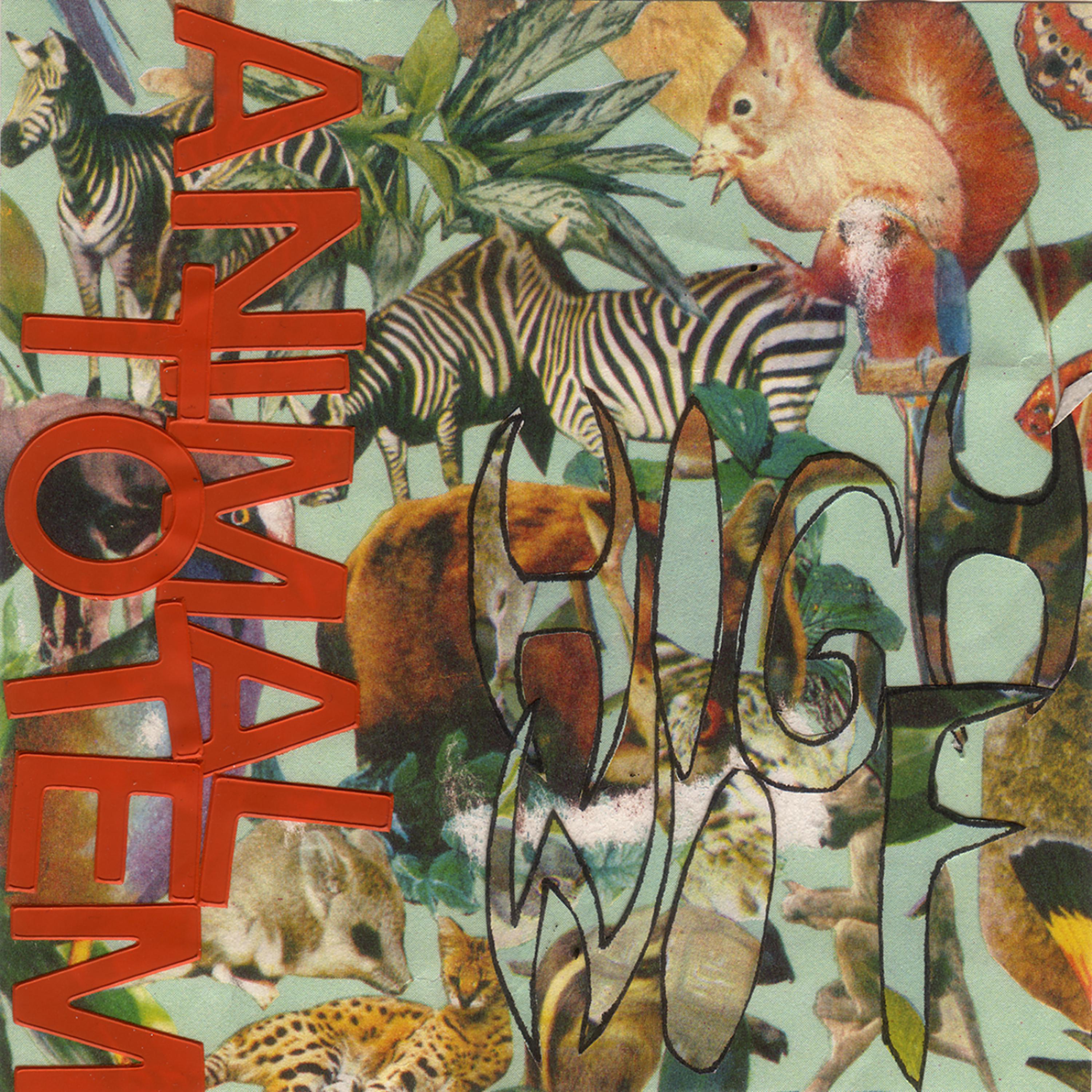 Постер альбома Animal Totem