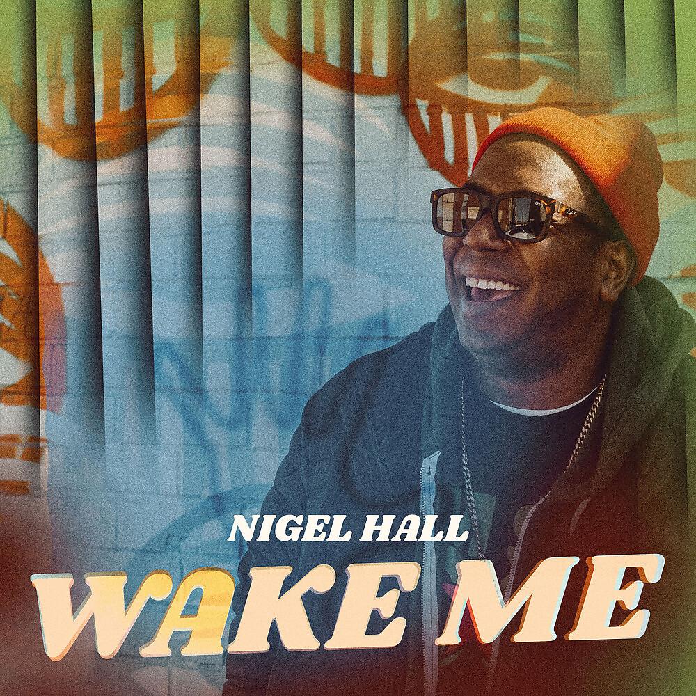Постер альбома Wake Me