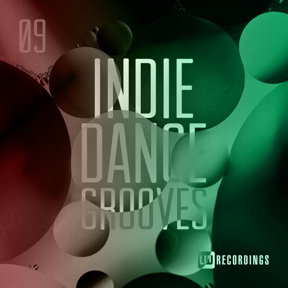 Постер альбома Indie Dance Grooves, Vol. 09
