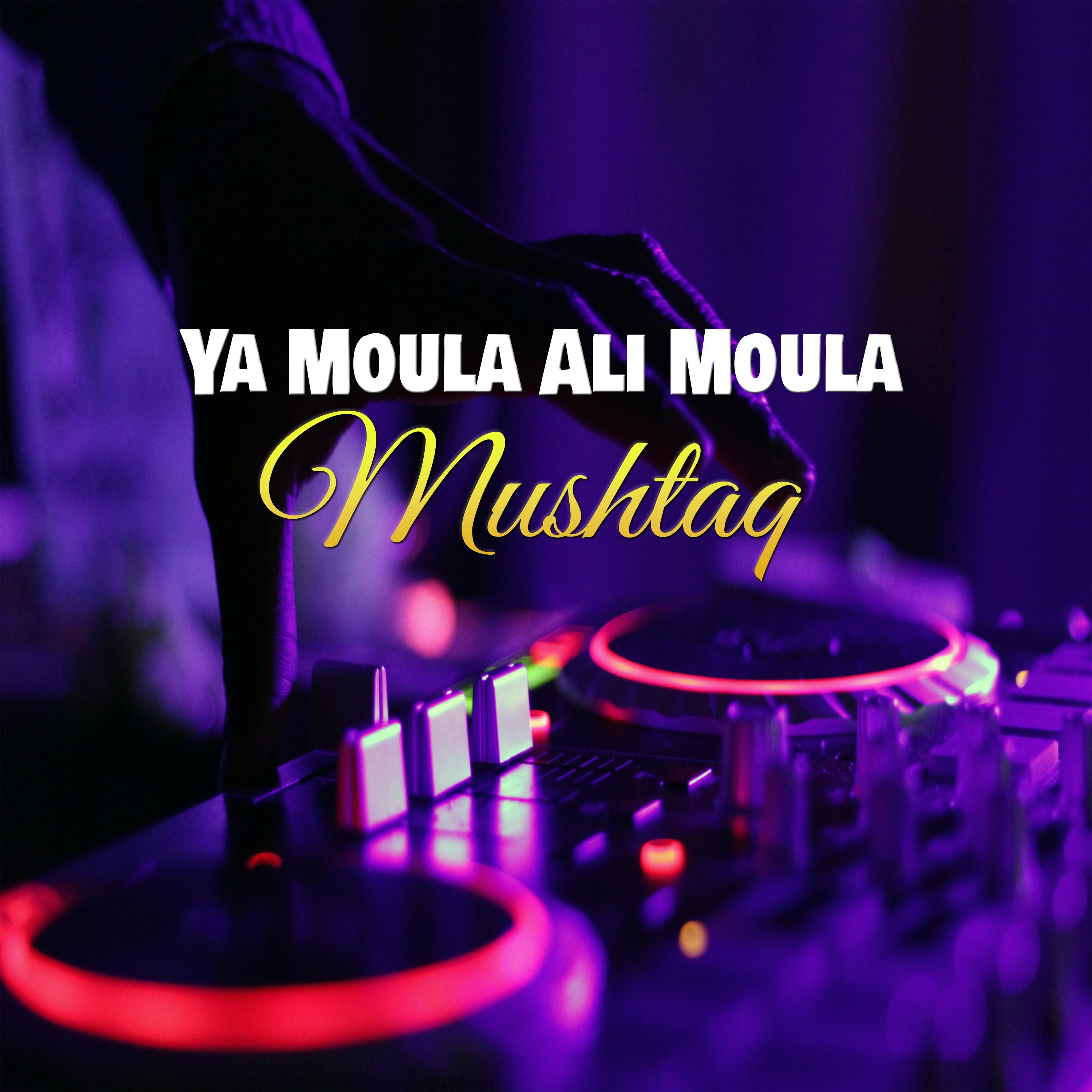 Постер альбома Ya Moula Ali Moula