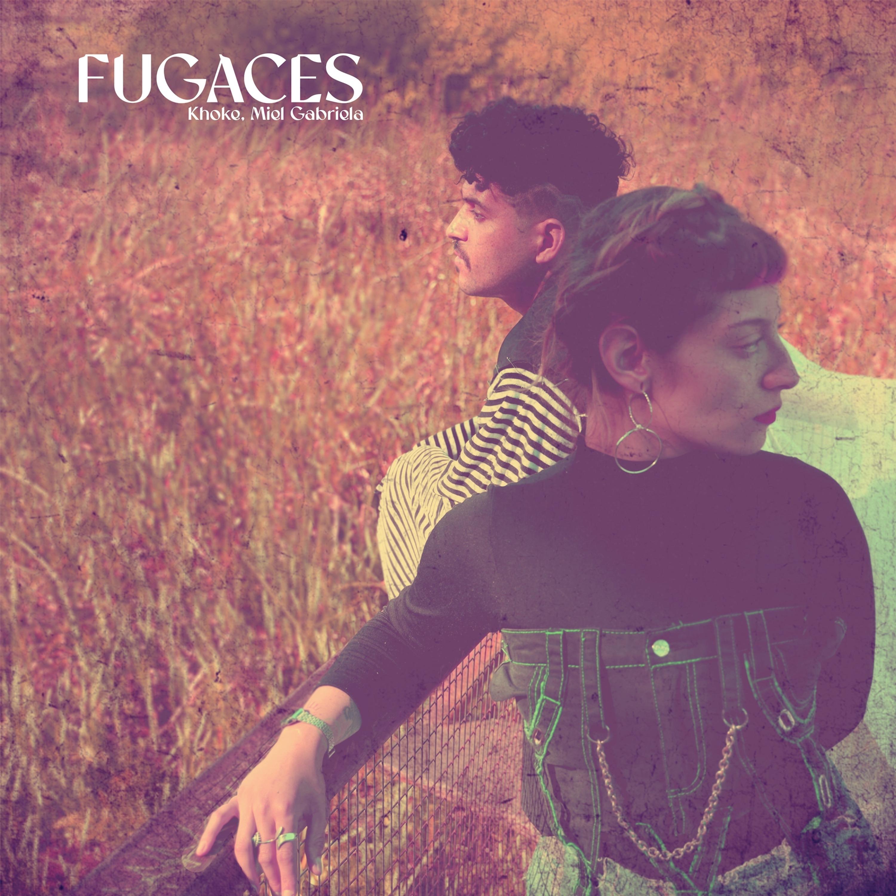Постер альбома Fugaces