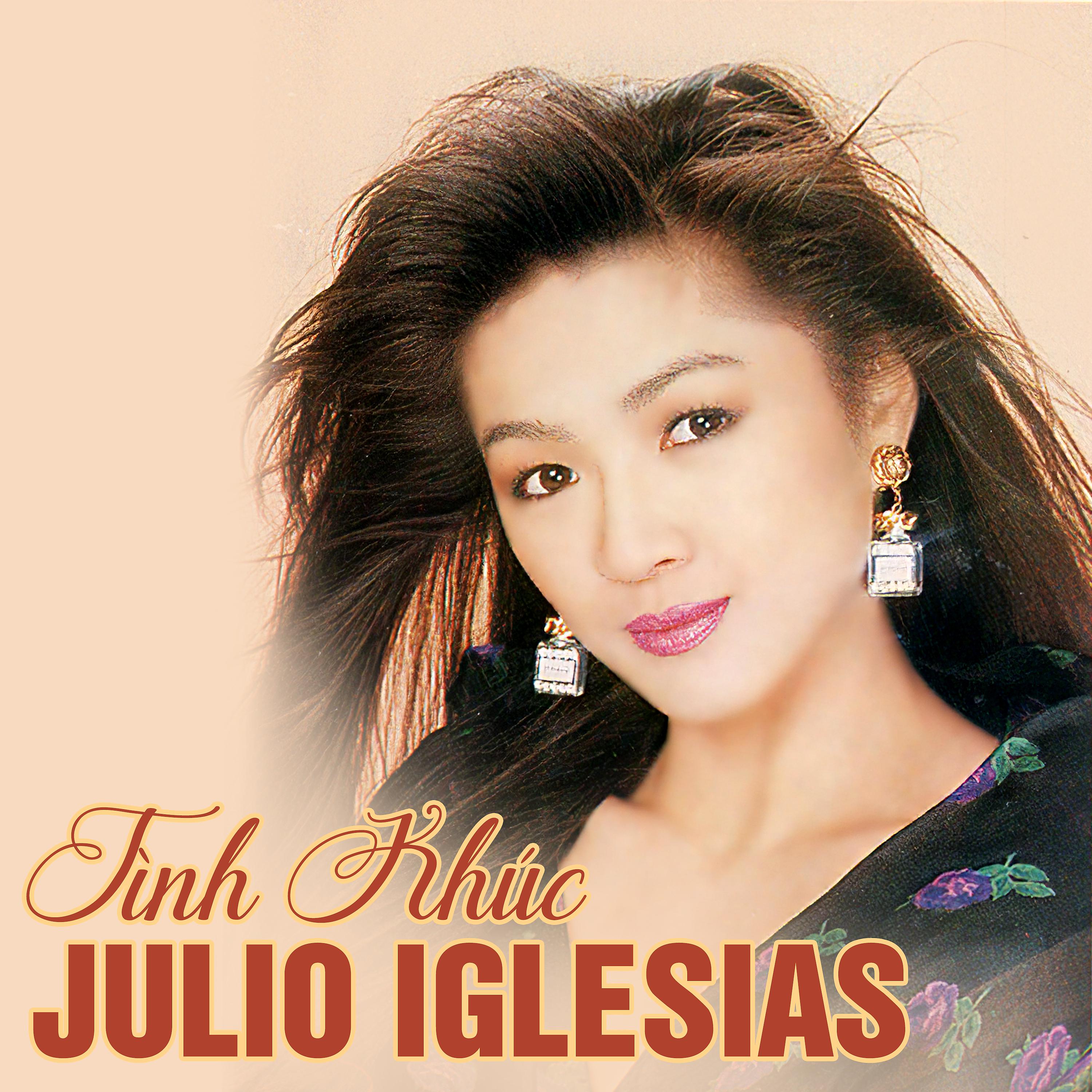 Постер альбома Tình Khúc Julio Iglesias