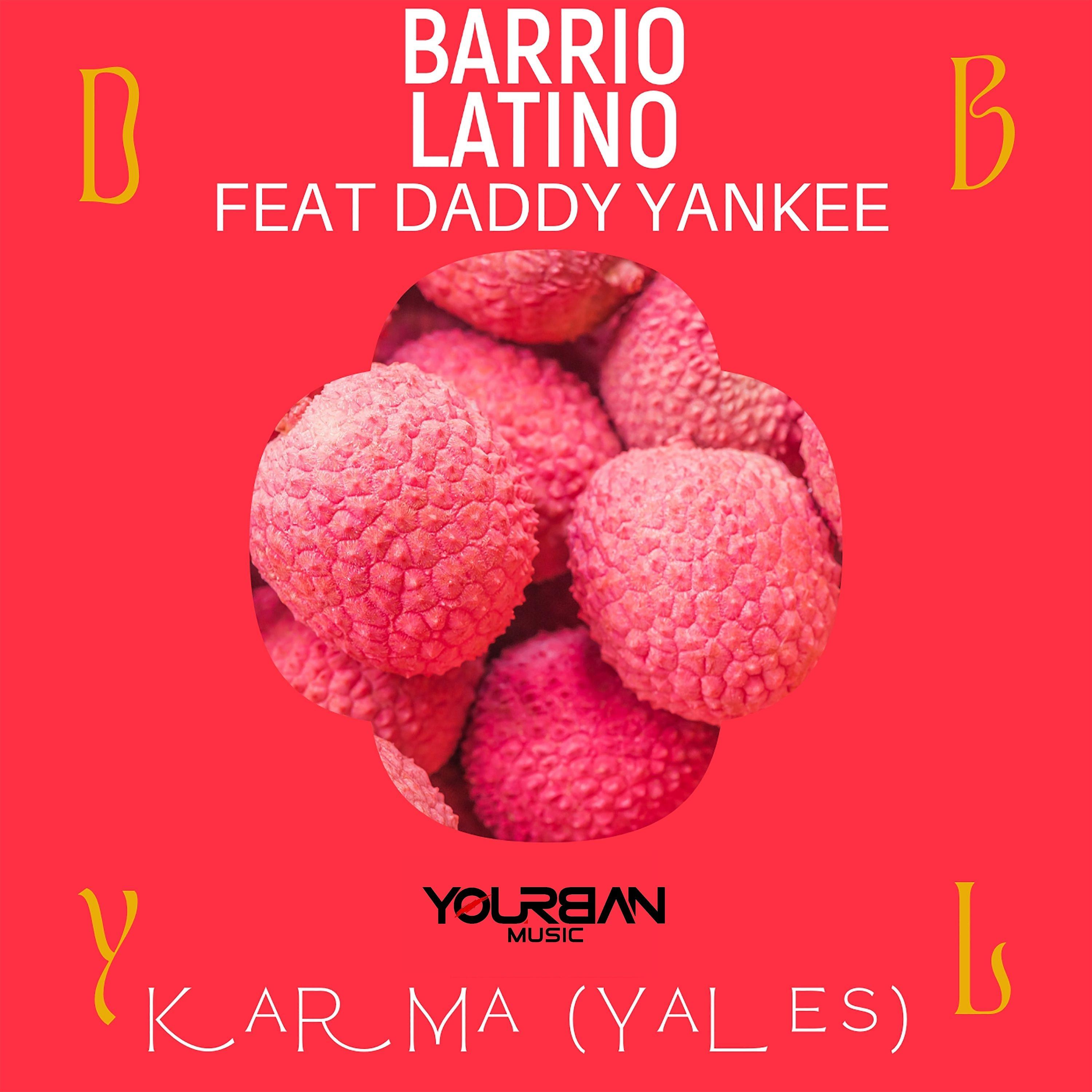 Постер альбома Karma (Yales)