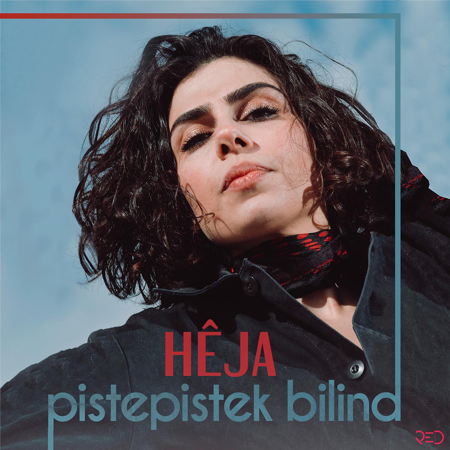 Постер альбома pistepistek bilind