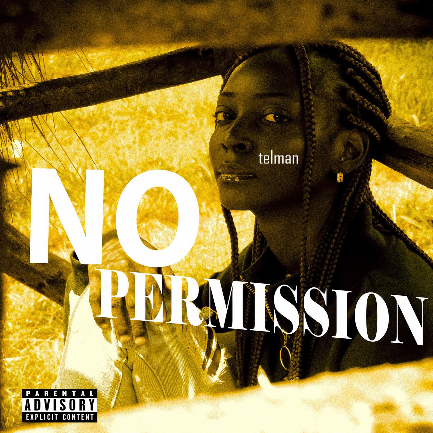 Постер альбома No Permission