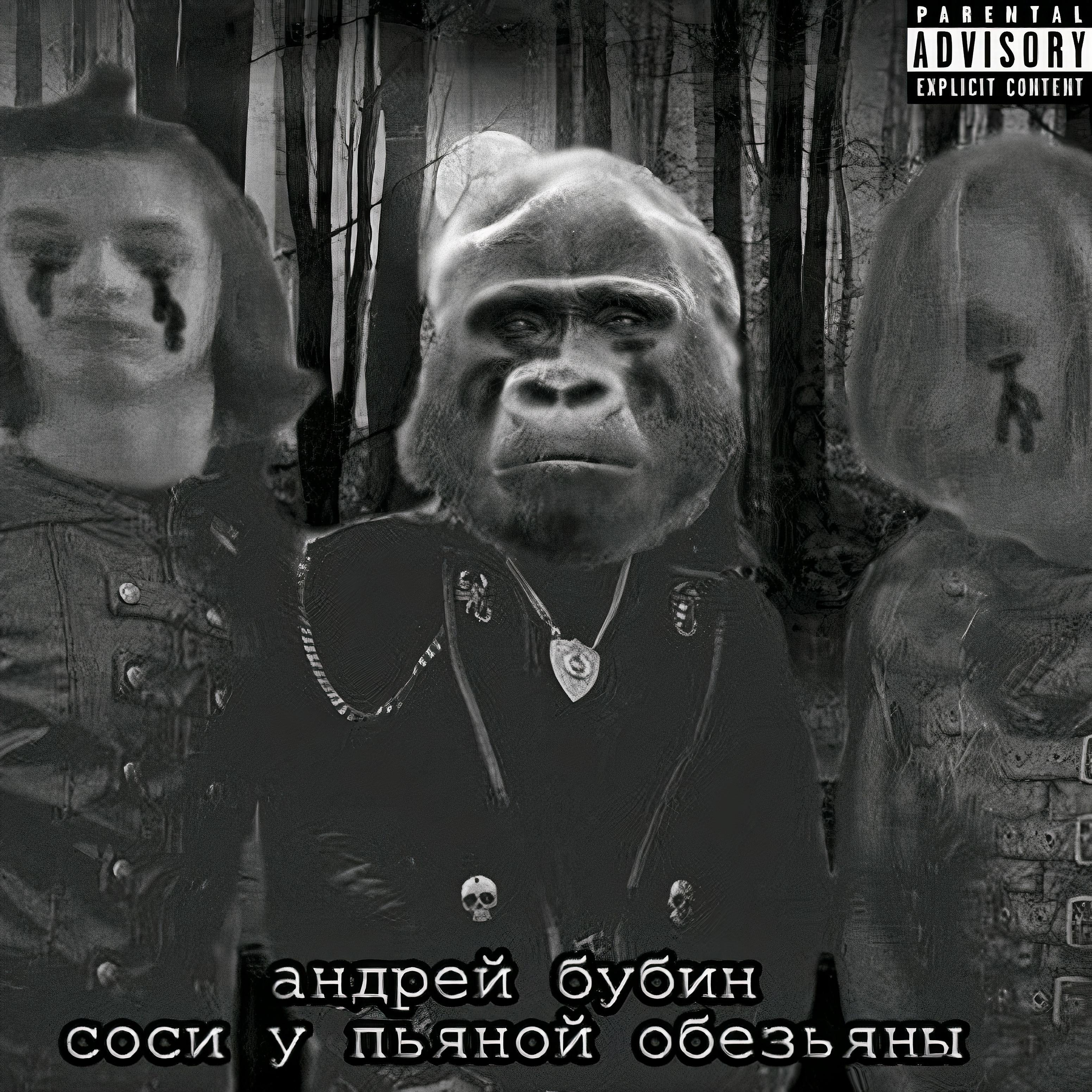 Постер альбома Соси у пьяной обезьяны