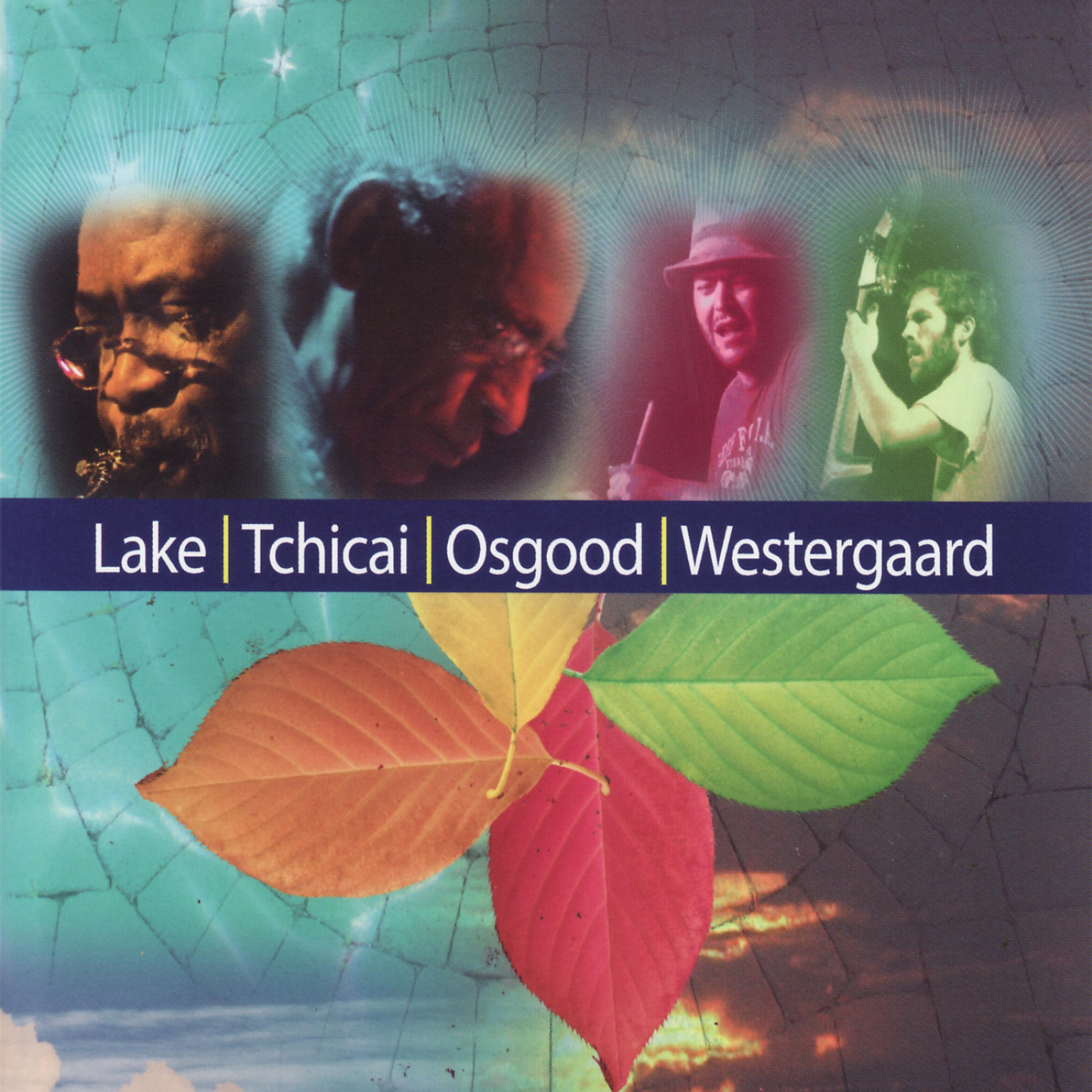 Постер альбома Lake/Tchicai/Osgood/Westergaard