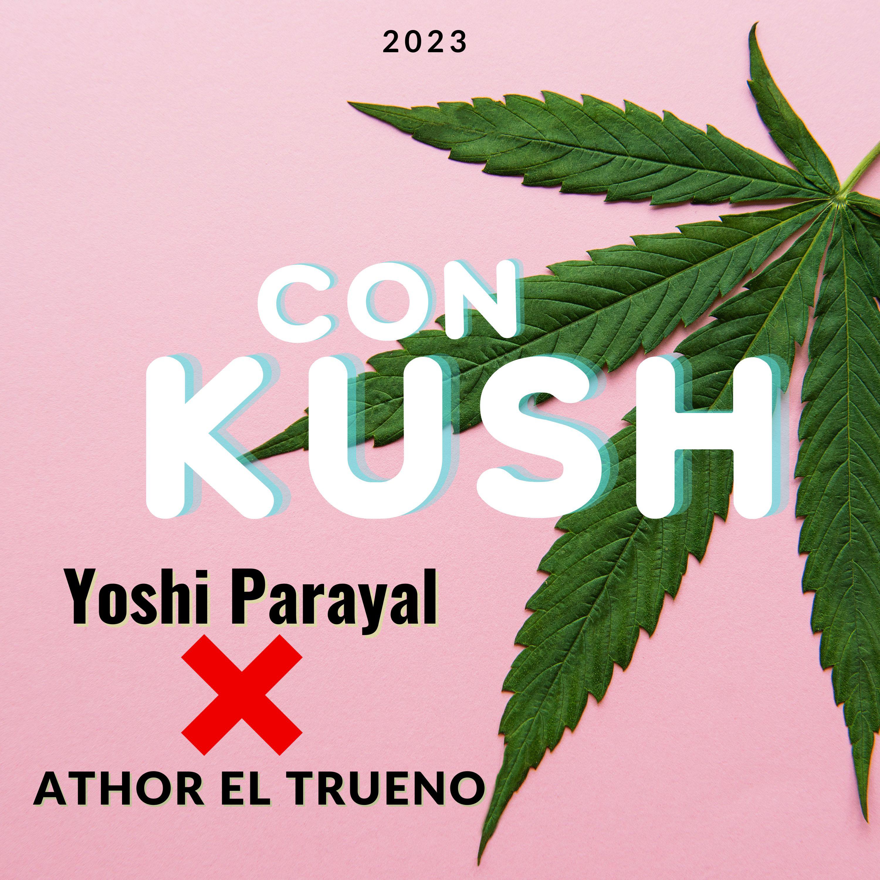 Постер альбома Con Kush
