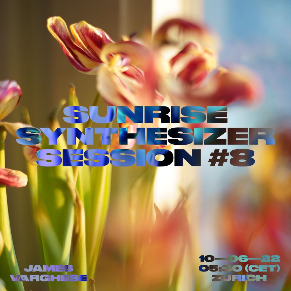 Постер альбома Sunrise Synthesizer Session No. 8