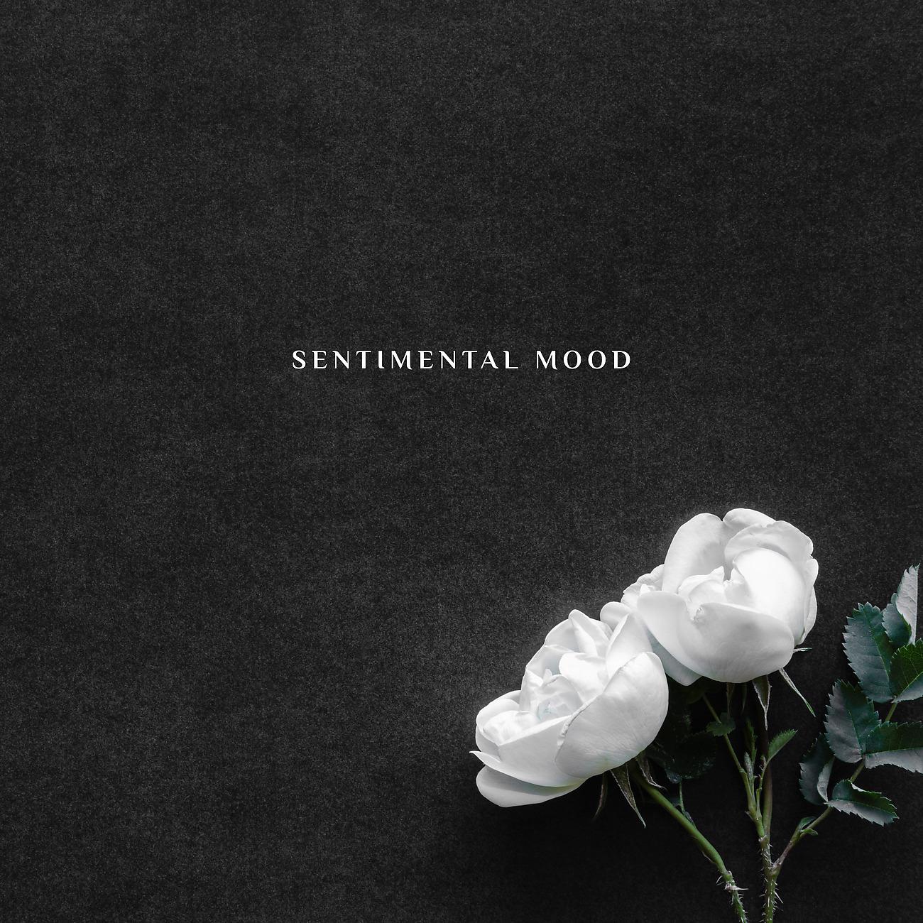 Постер альбома Sentimental Mood - A Piano Oasis of Peace and Relaxation