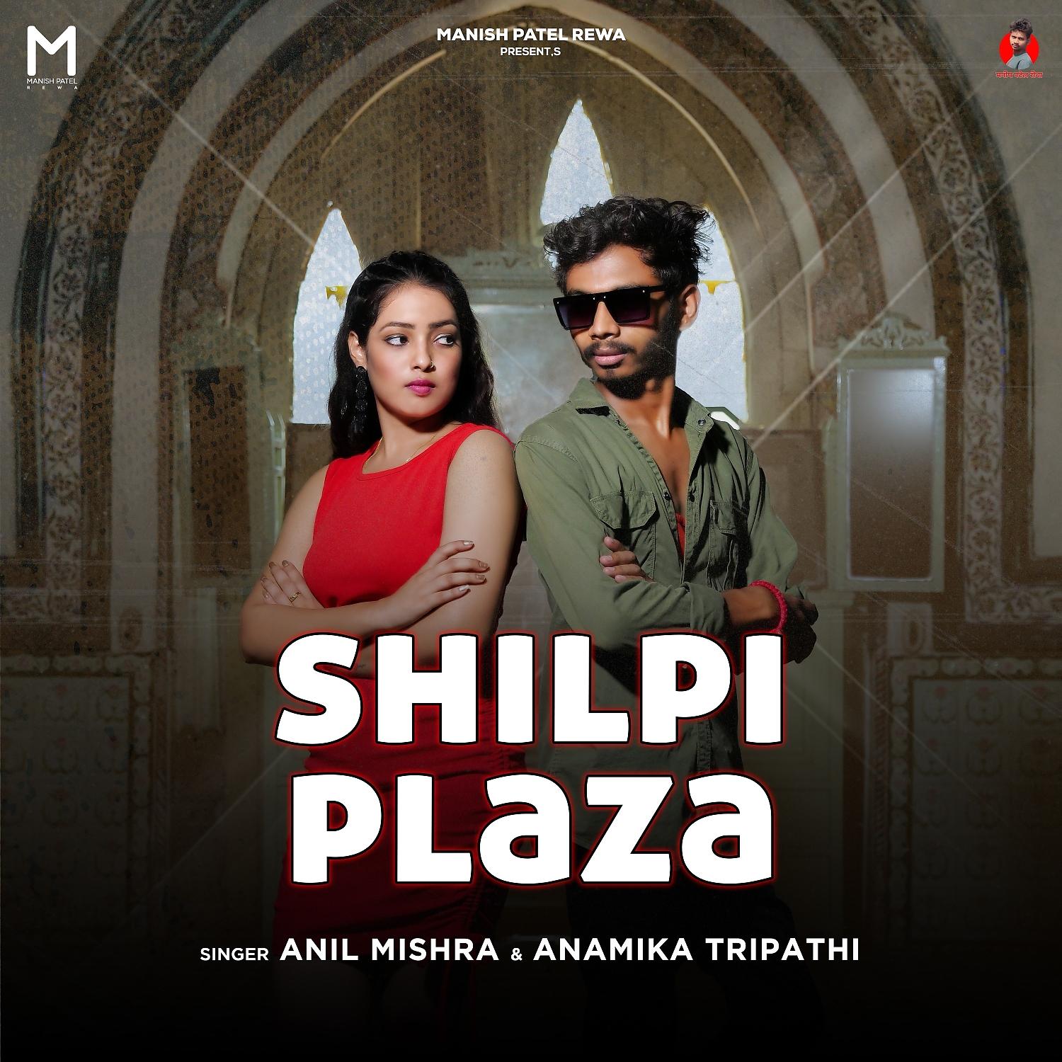 Постер альбома Shilpi Plaza