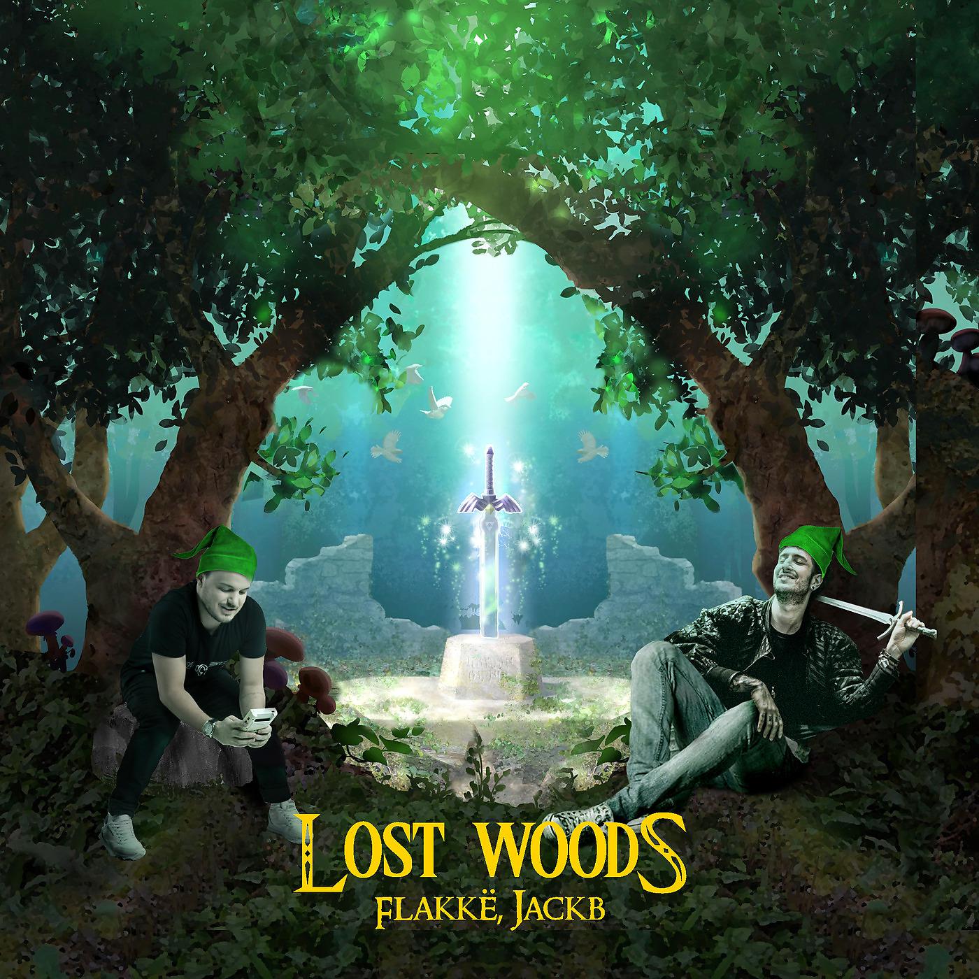 Постер альбома Lost Woods