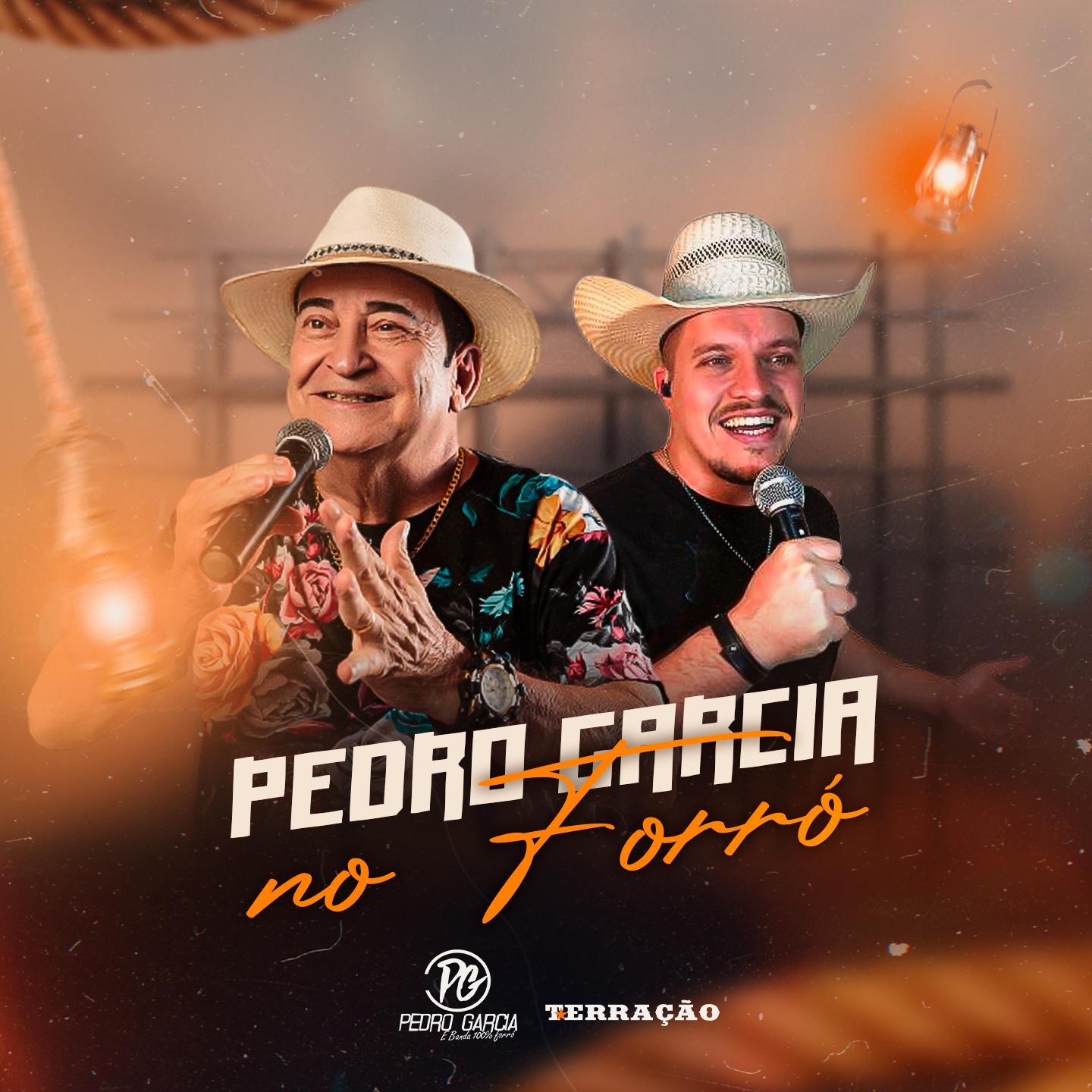 Постер альбома Pedro Garcia no Forró