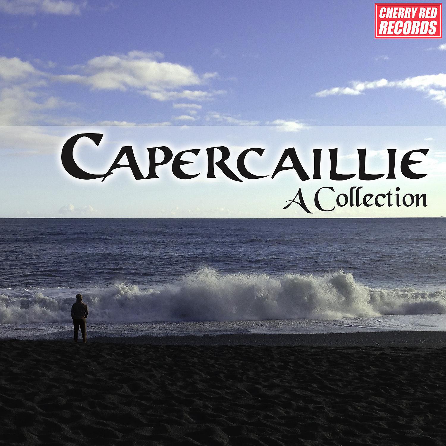 Постер альбома Capercaillie: A Collection