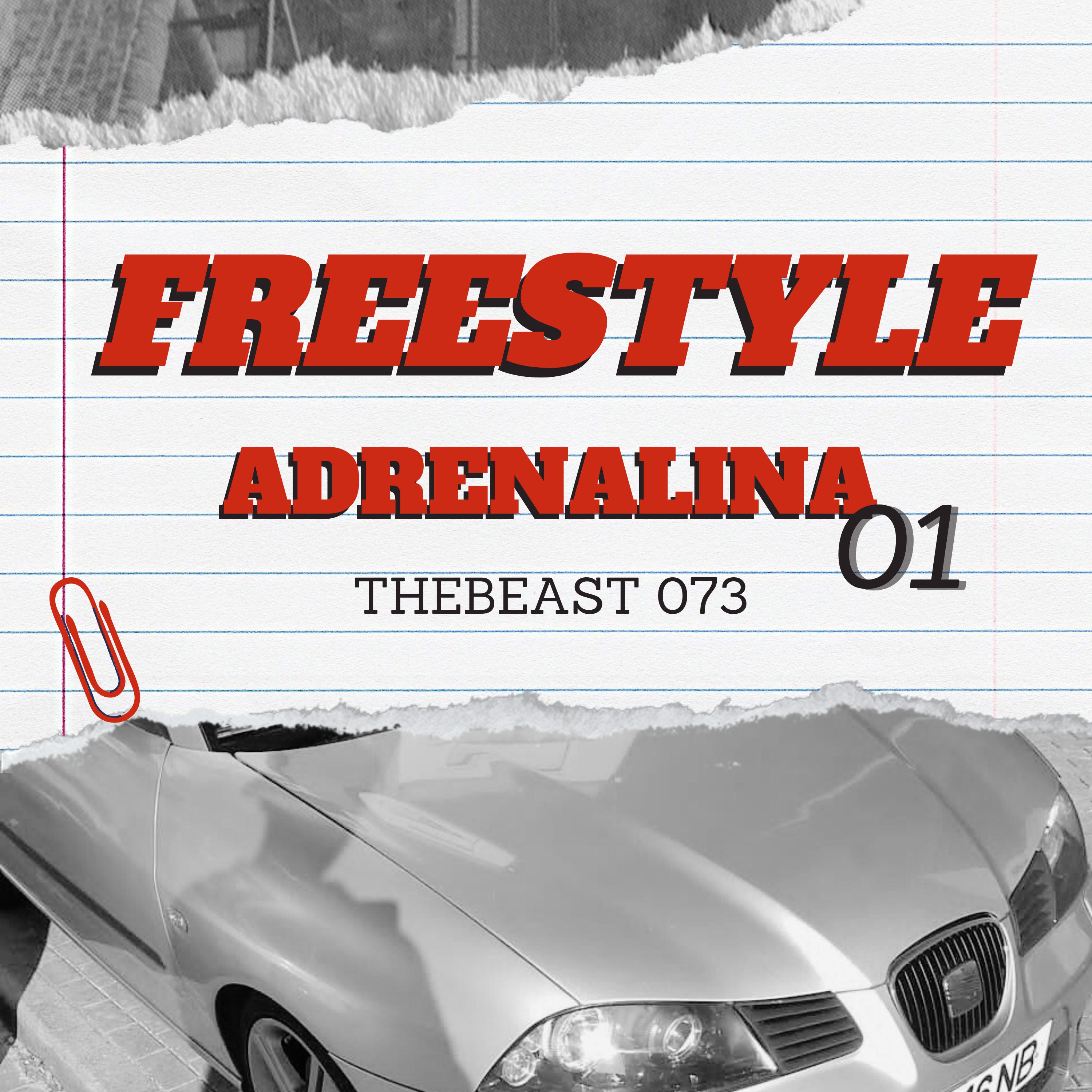Постер альбома Adrenalina Freestyle 01