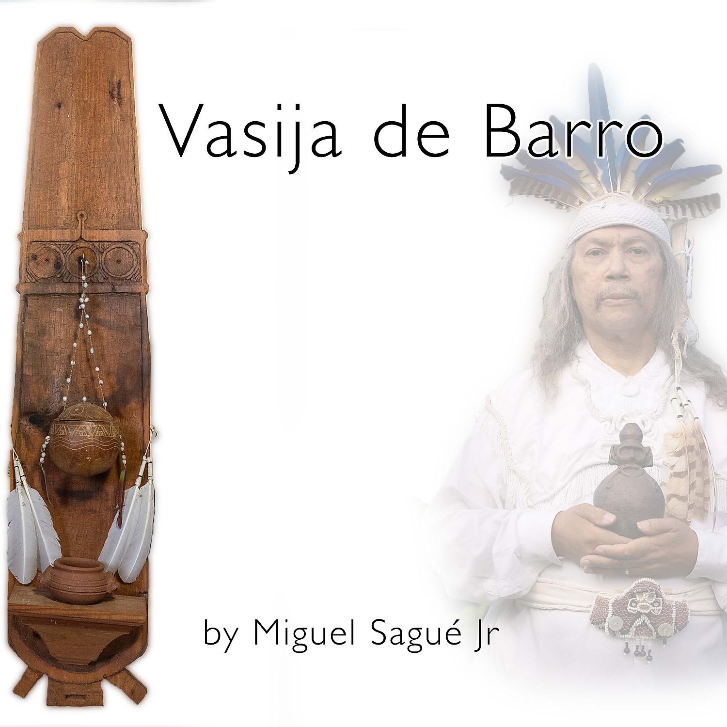 Постер альбома Vasija de Barro