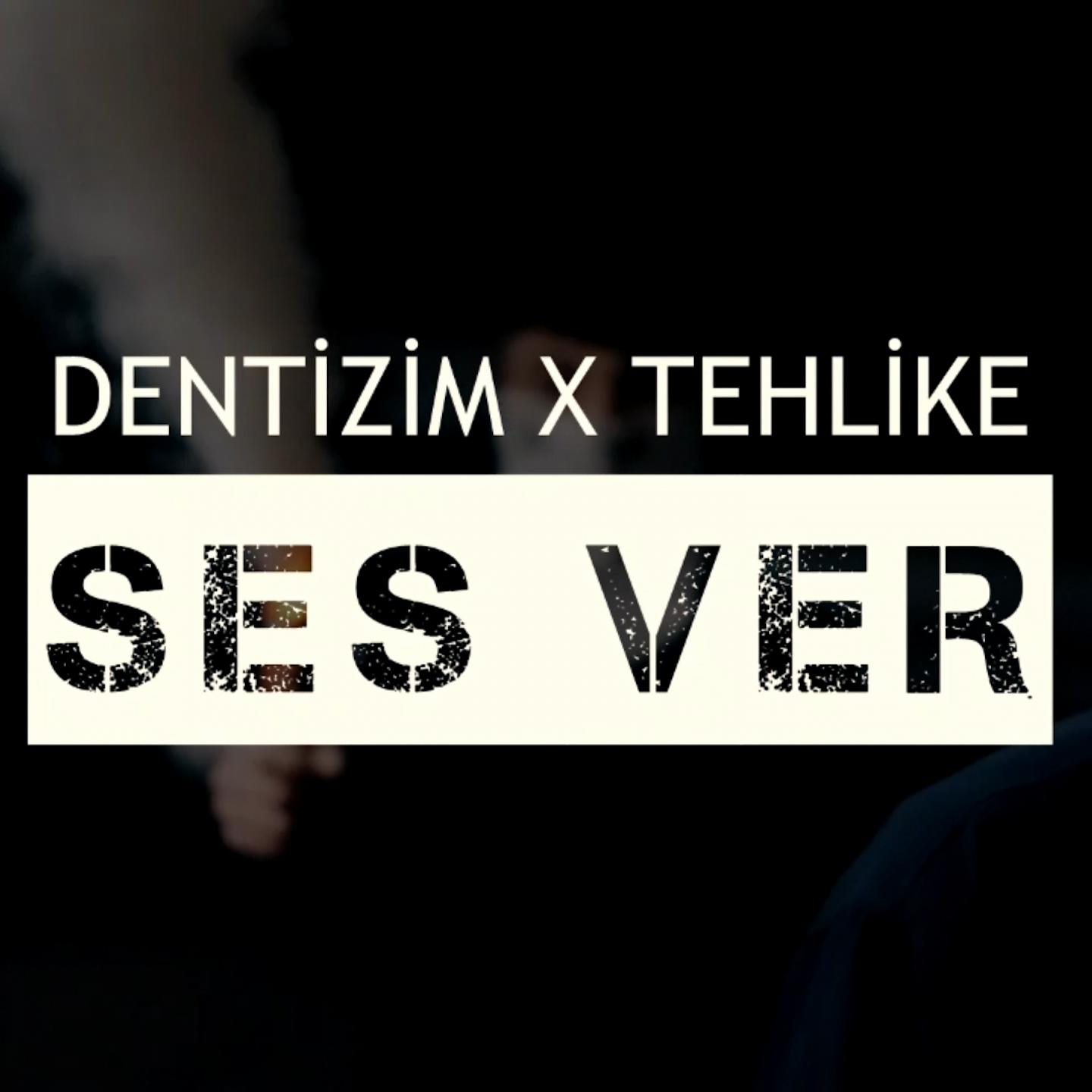 Постер альбома Ses Ver