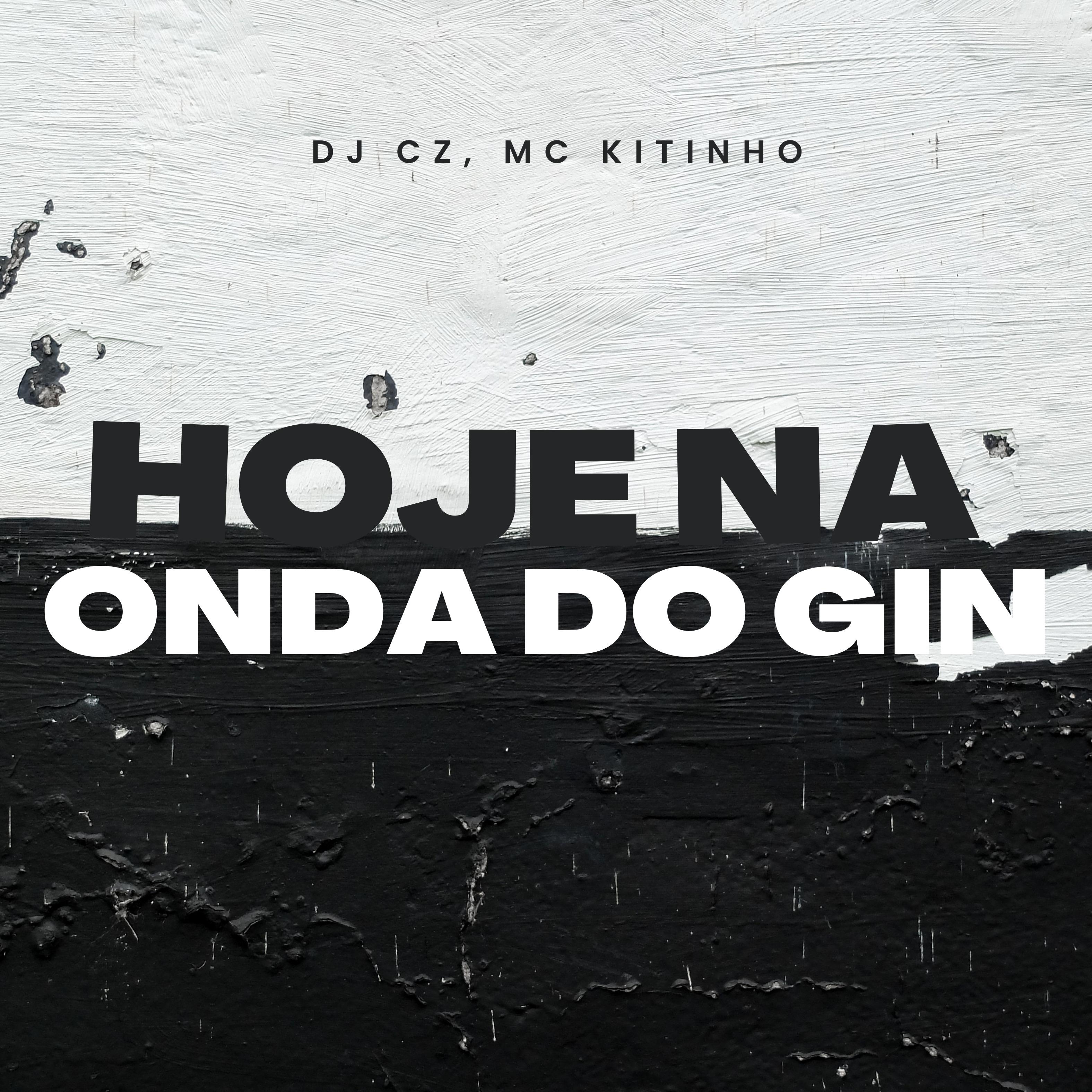 Постер альбома Hoje na Onda do Gin