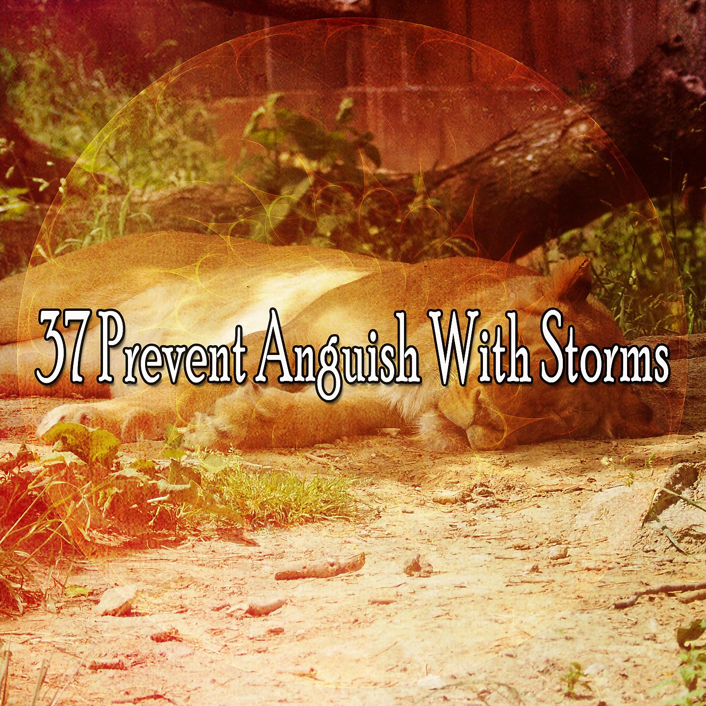 Постер альбома 37 Предотвратить страдания с помощью штормов