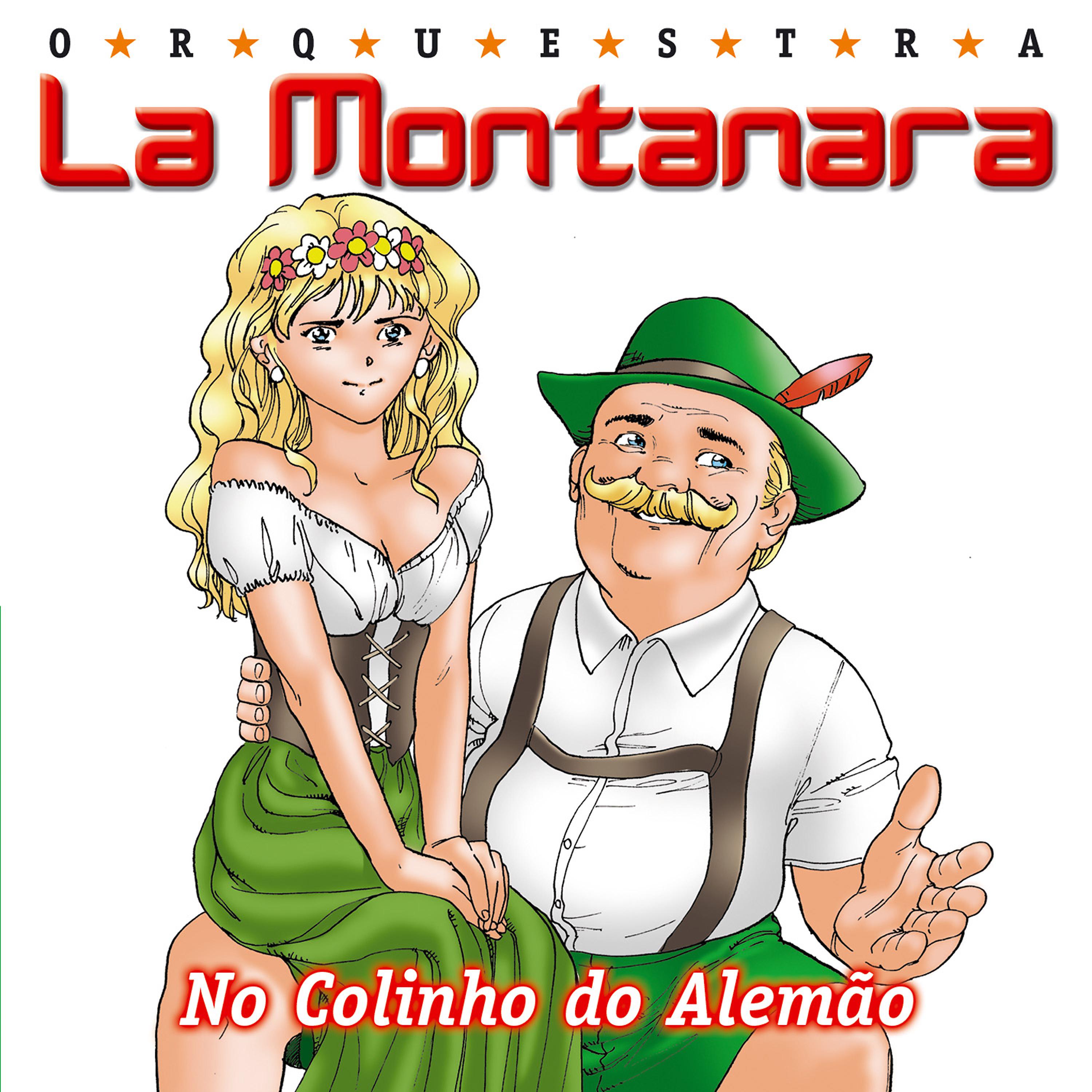 Постер альбома No Colinho do Alemão