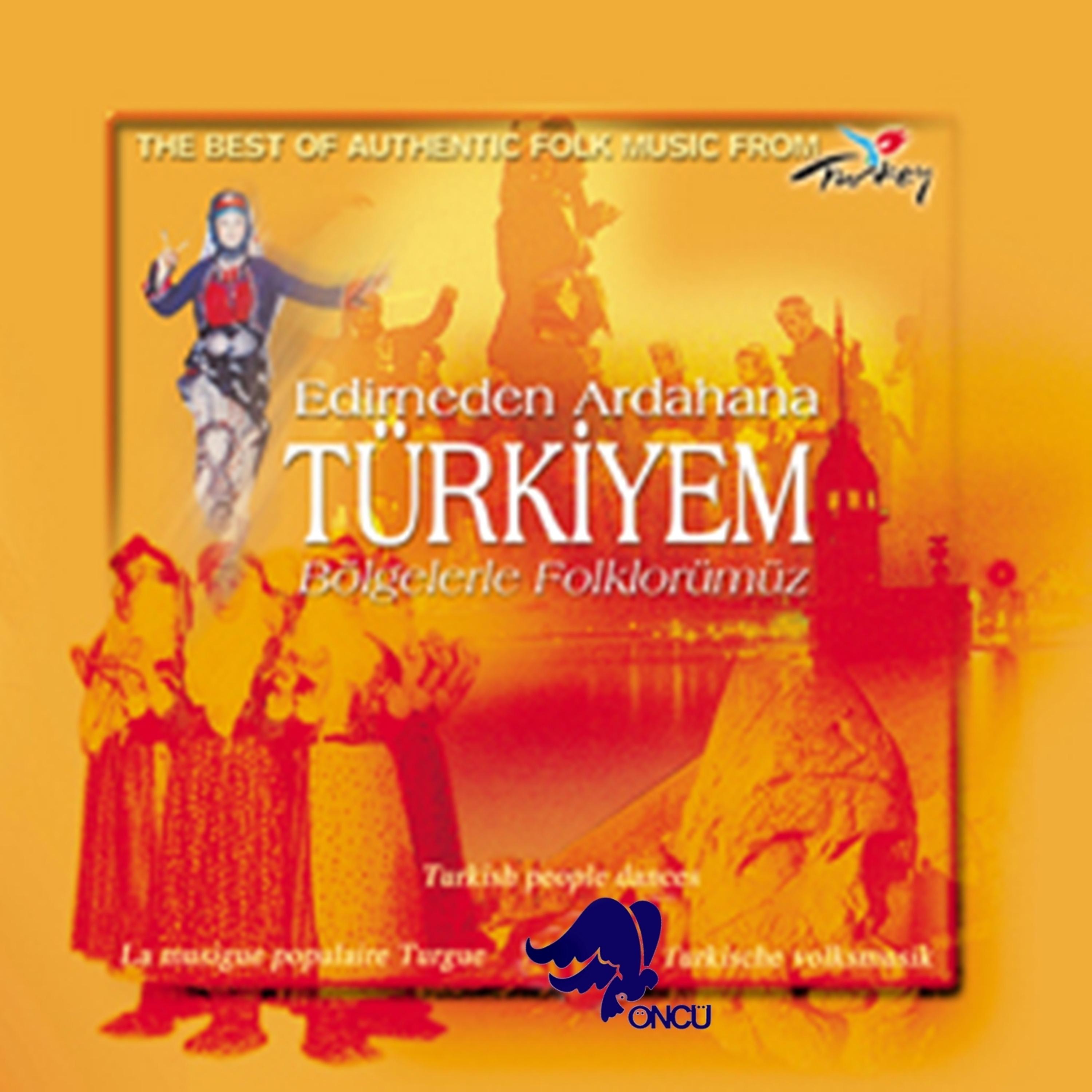 Постер альбома Edirne'den Ardahan'a Türkiyem