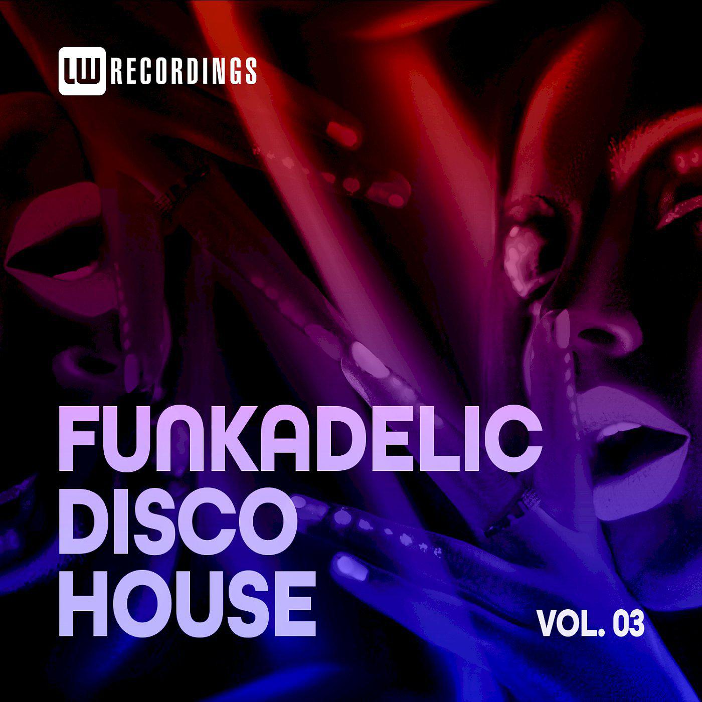 Постер альбома Funkadelic Disco House, 03
