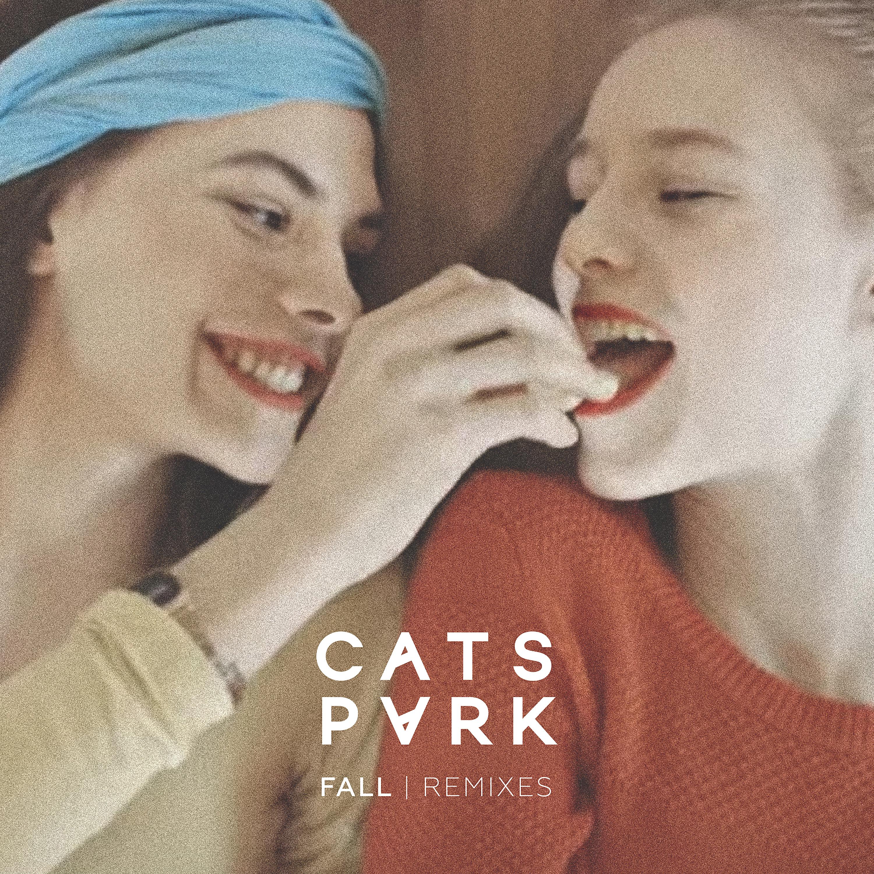 Постер альбома Fall (Remixes)