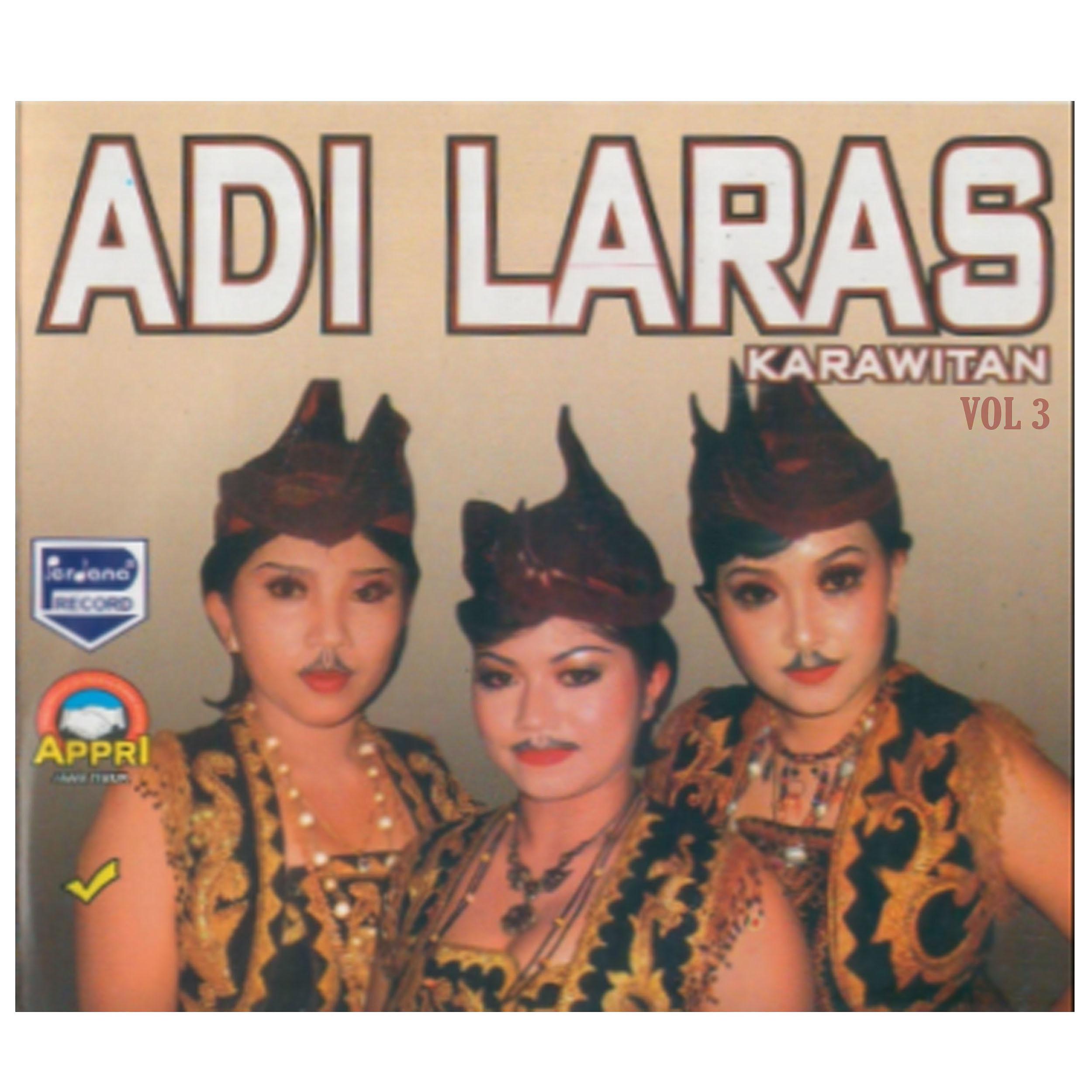 Постер альбома Adi Laras, Vol. 3