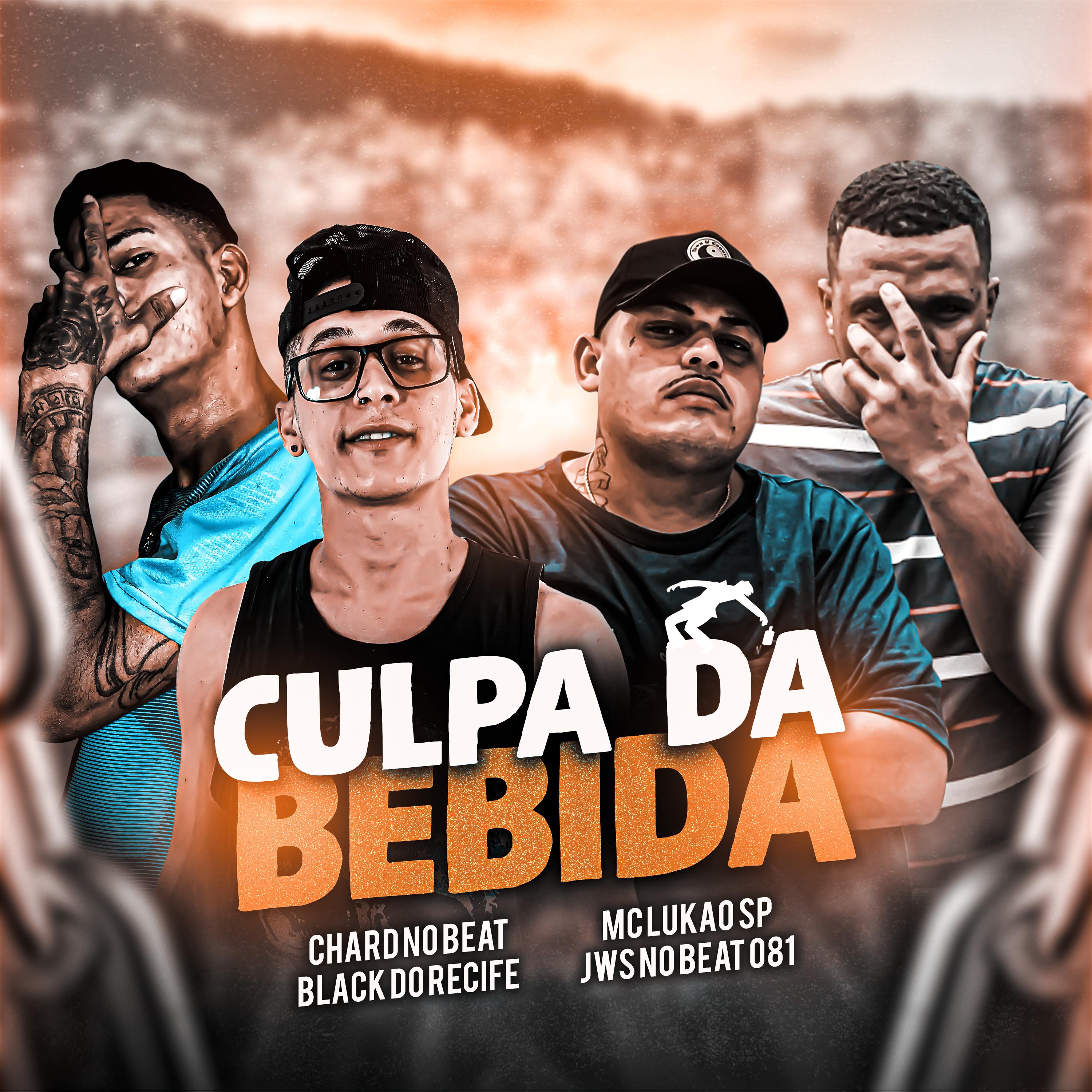 Постер альбома Culpa da Bebida