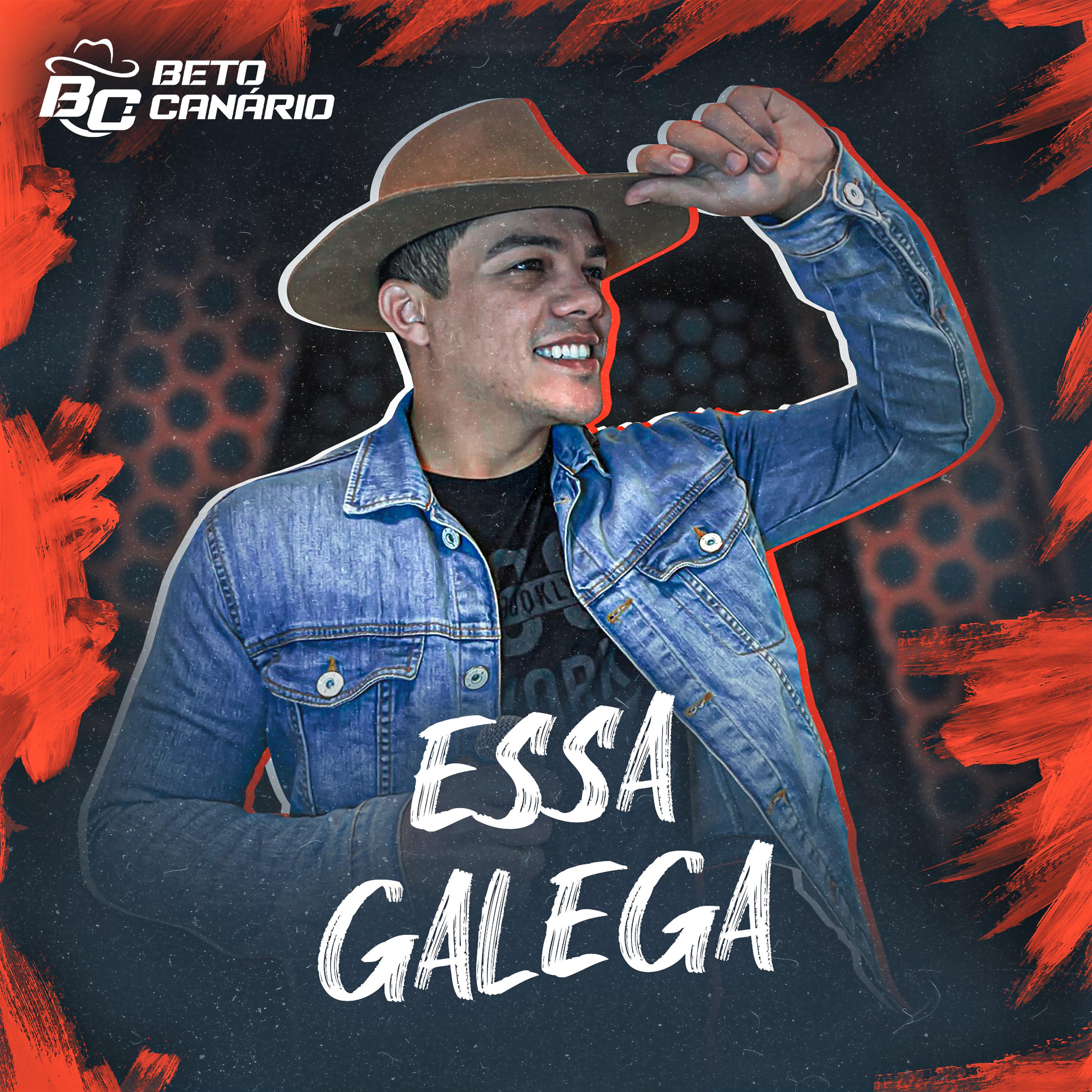 Постер альбома Essa Galega
