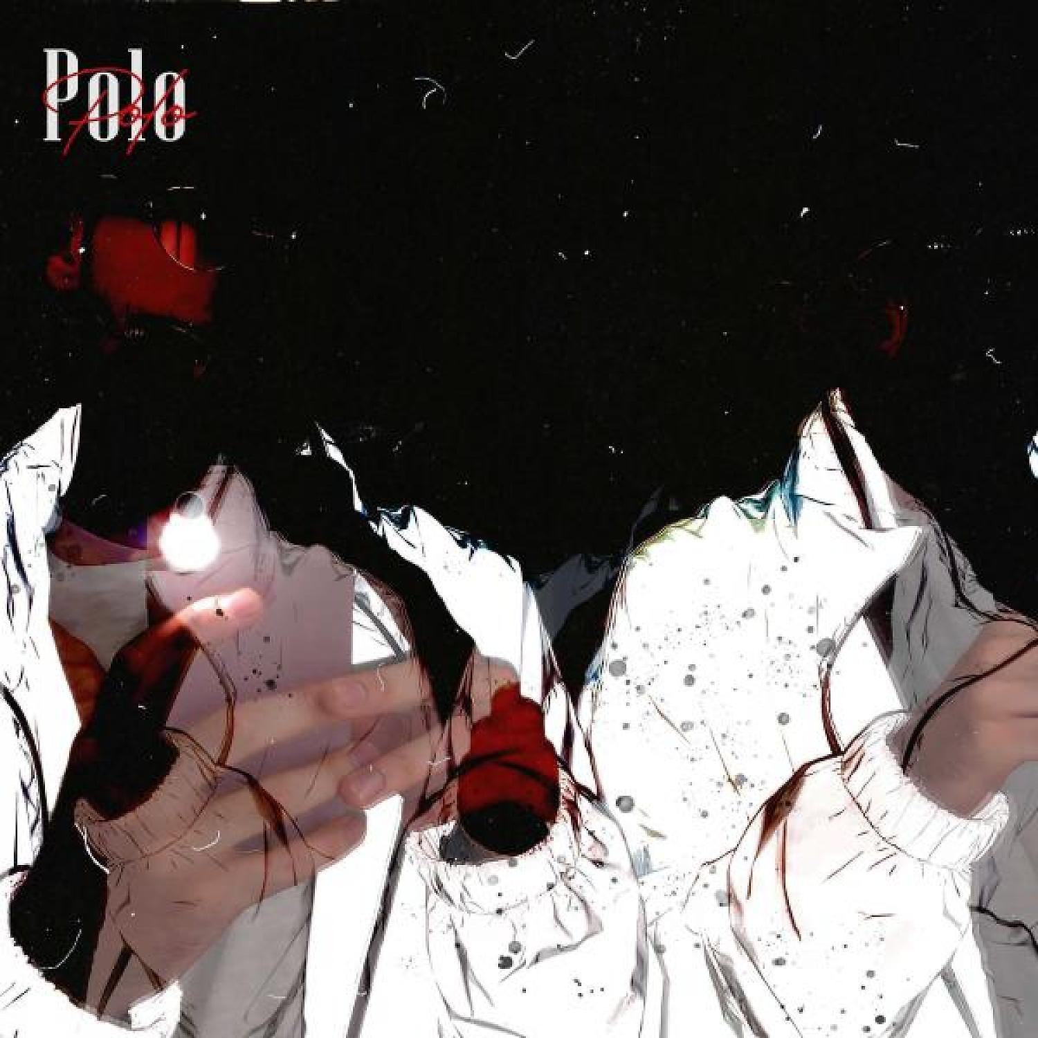 Постер альбома Polo