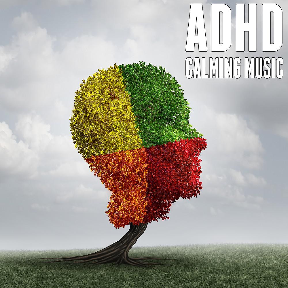 Постер альбома Adhd Calming Music