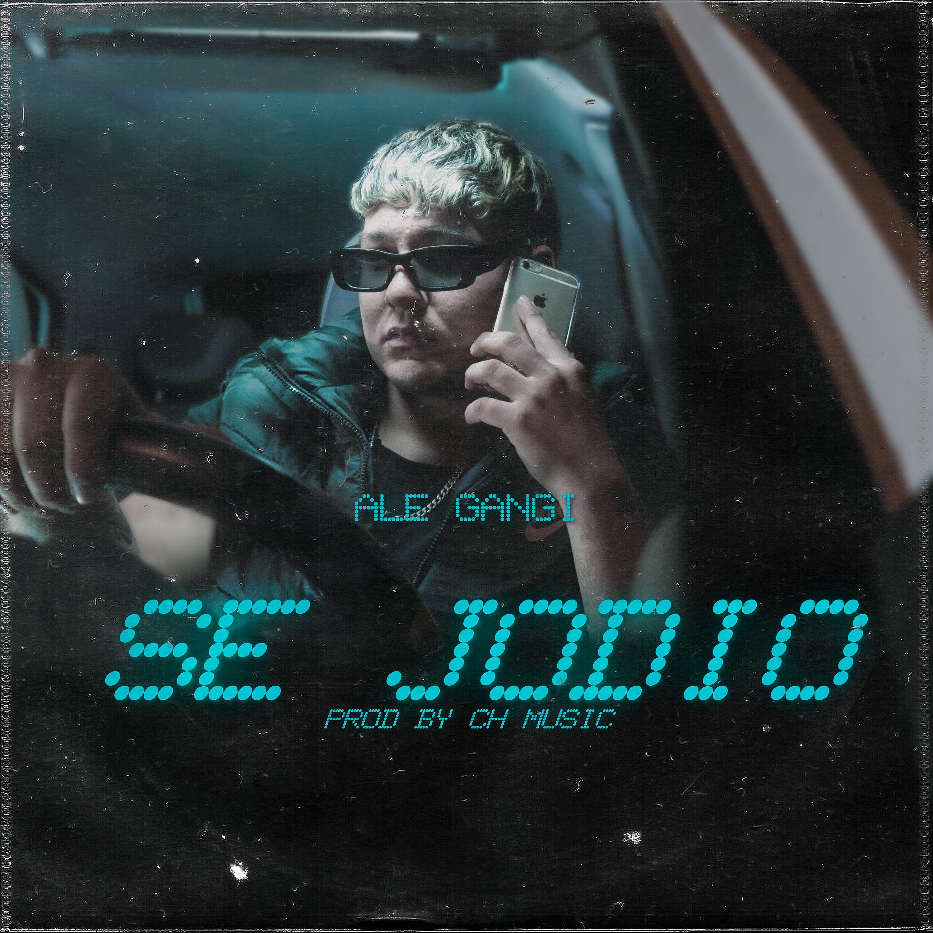 Постер альбома Se Jodio